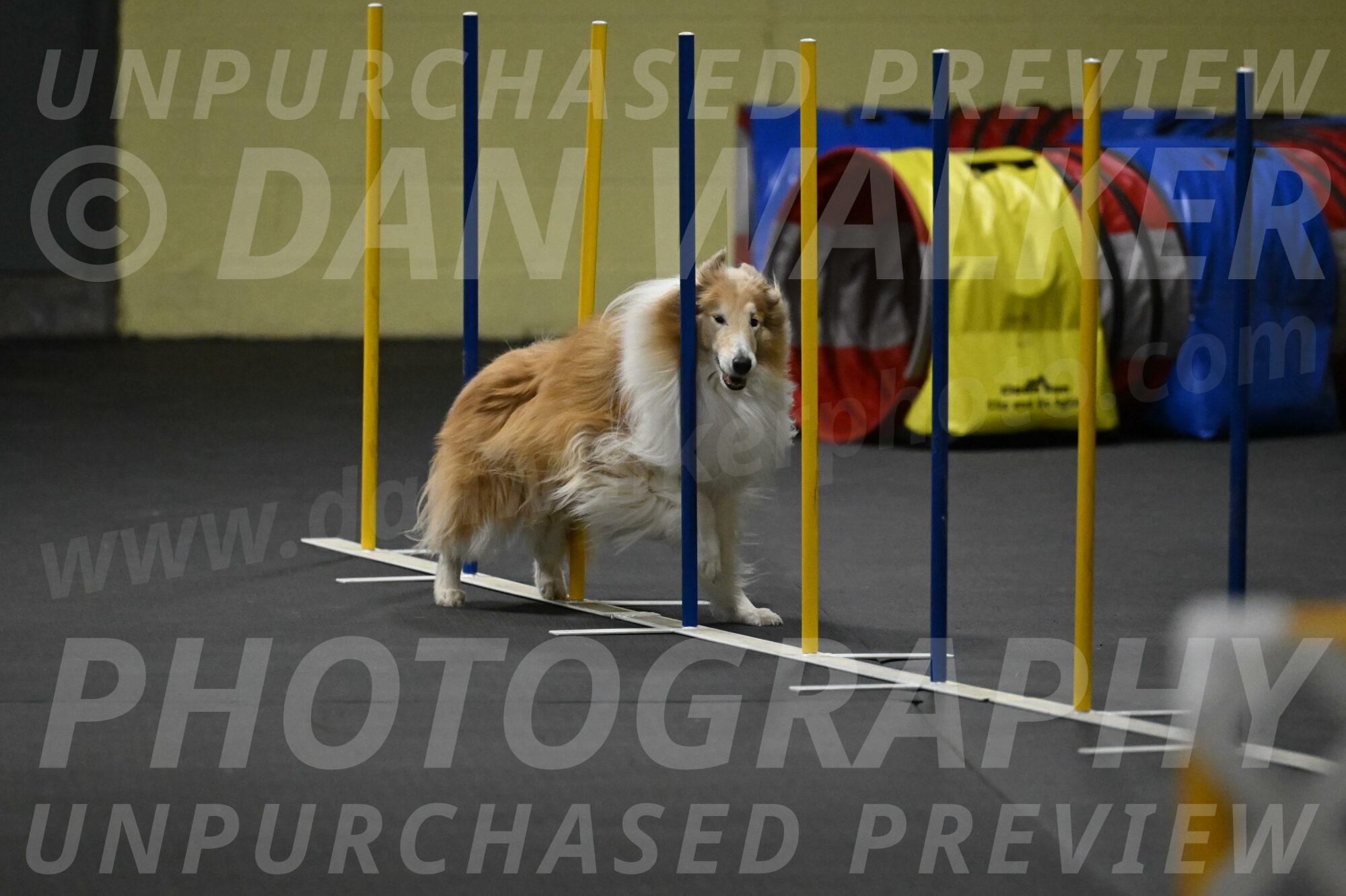 Attie-Schaffer-15298