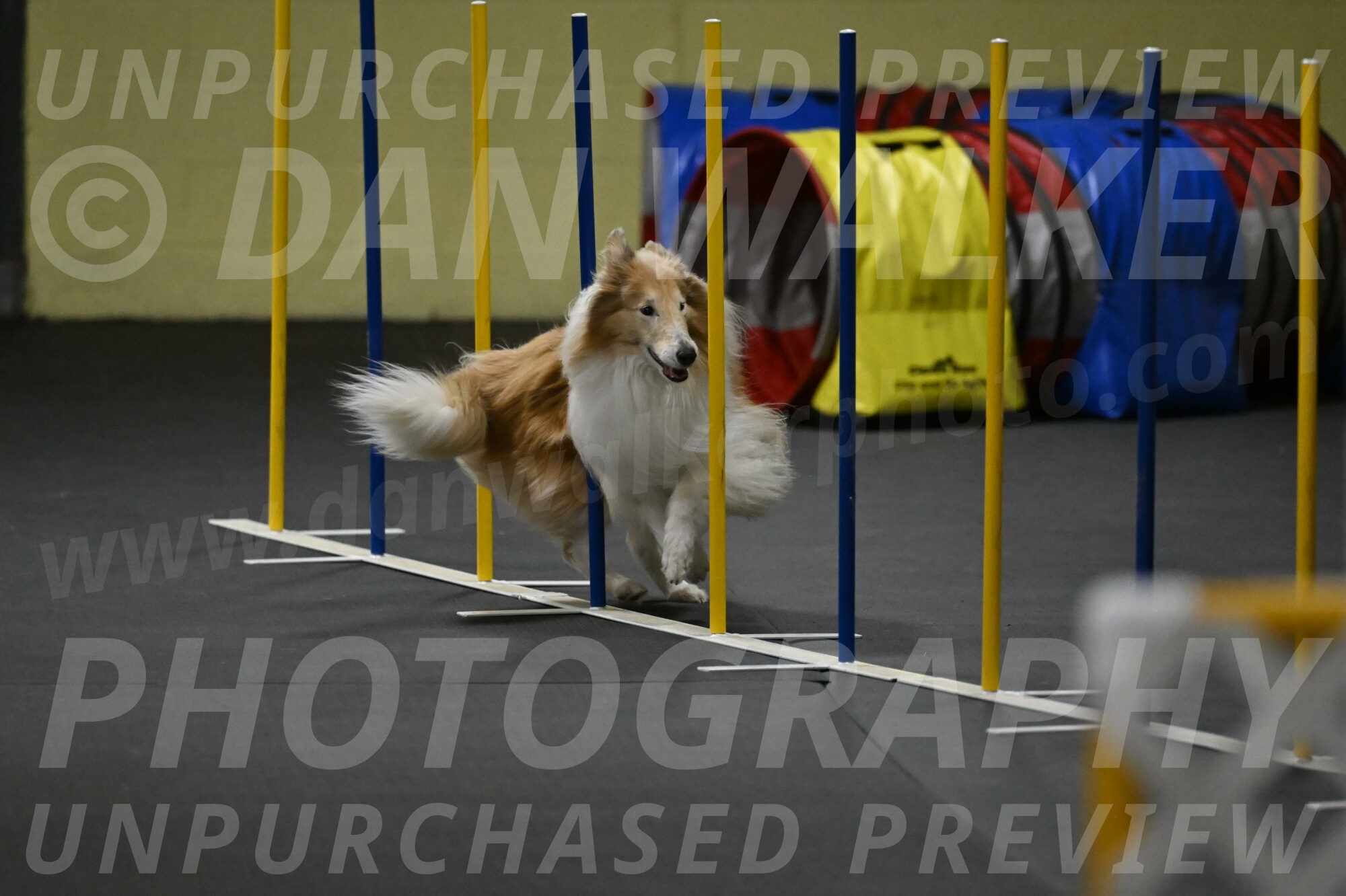 Attie-Schaffer-15301