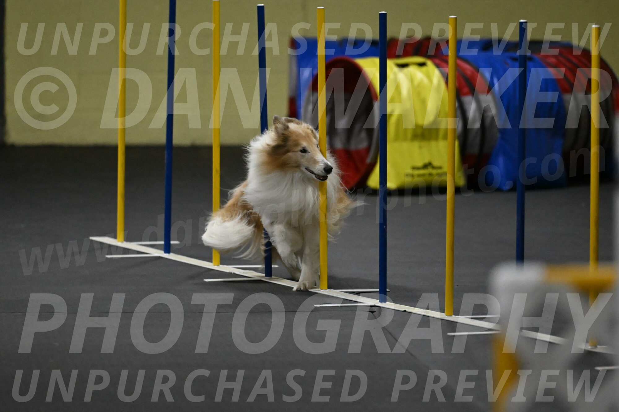 Attie-Schaffer-15302