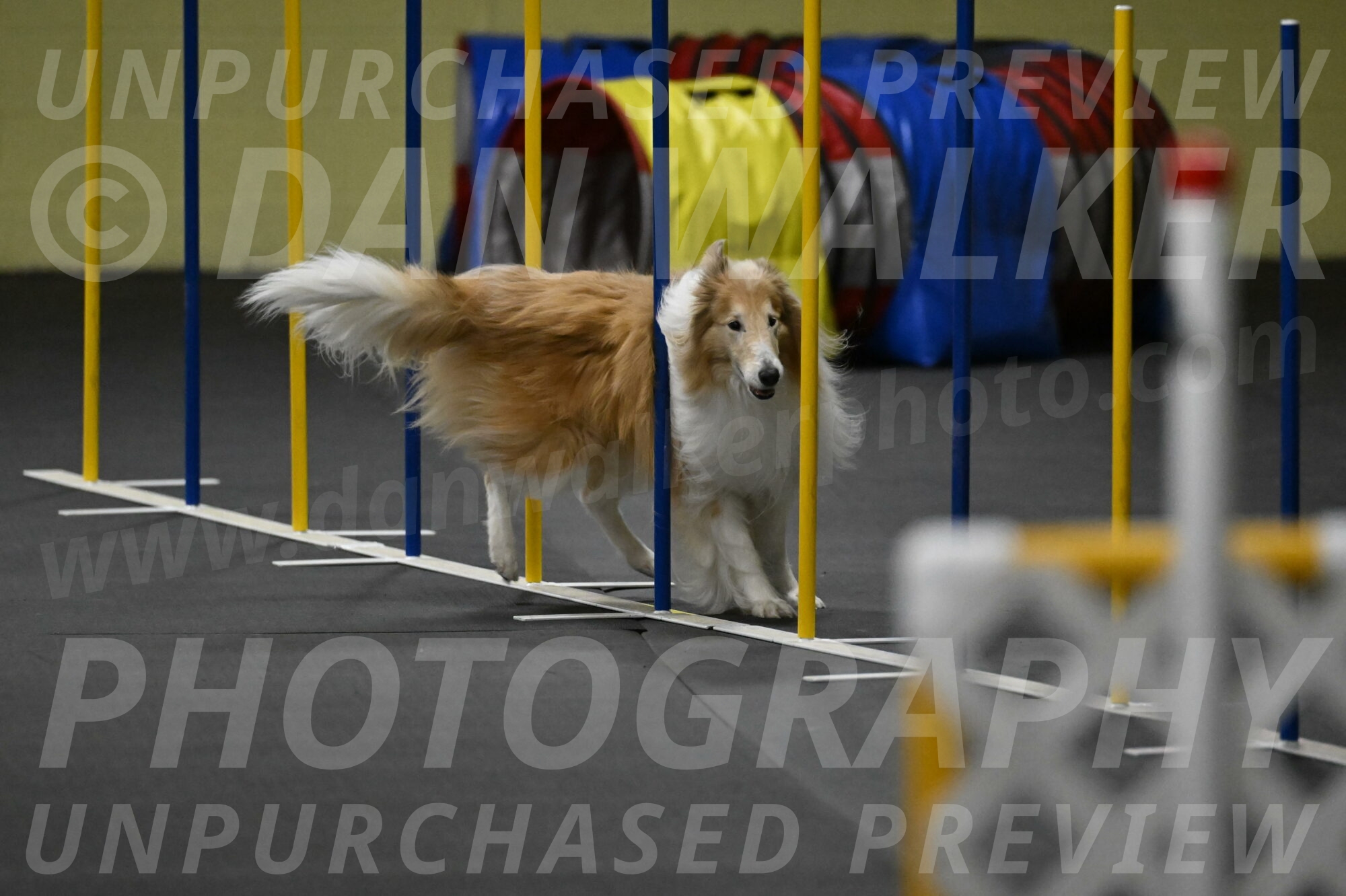 Attie-Schaffer-15308