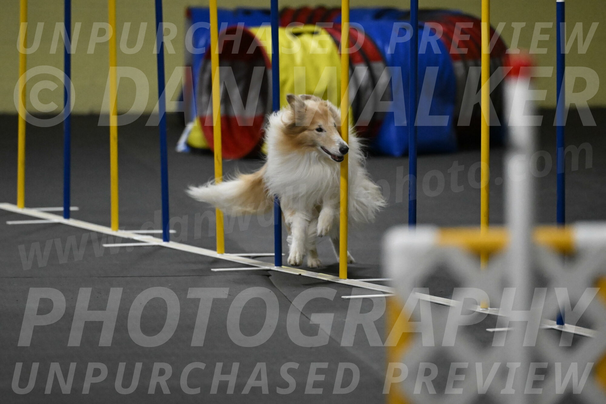 Attie-Schaffer-15310