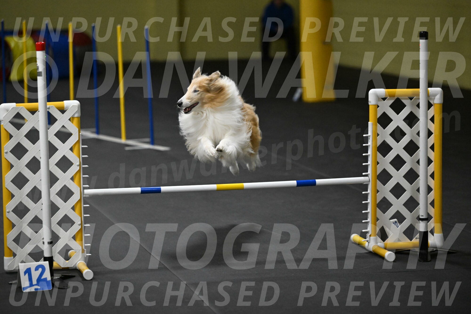 Attie-Schaffer-15317