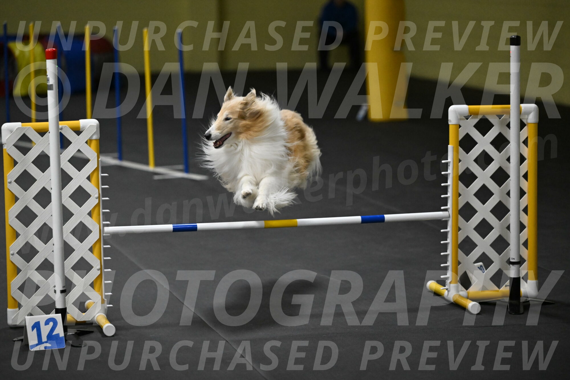 Attie-Schaffer-15318