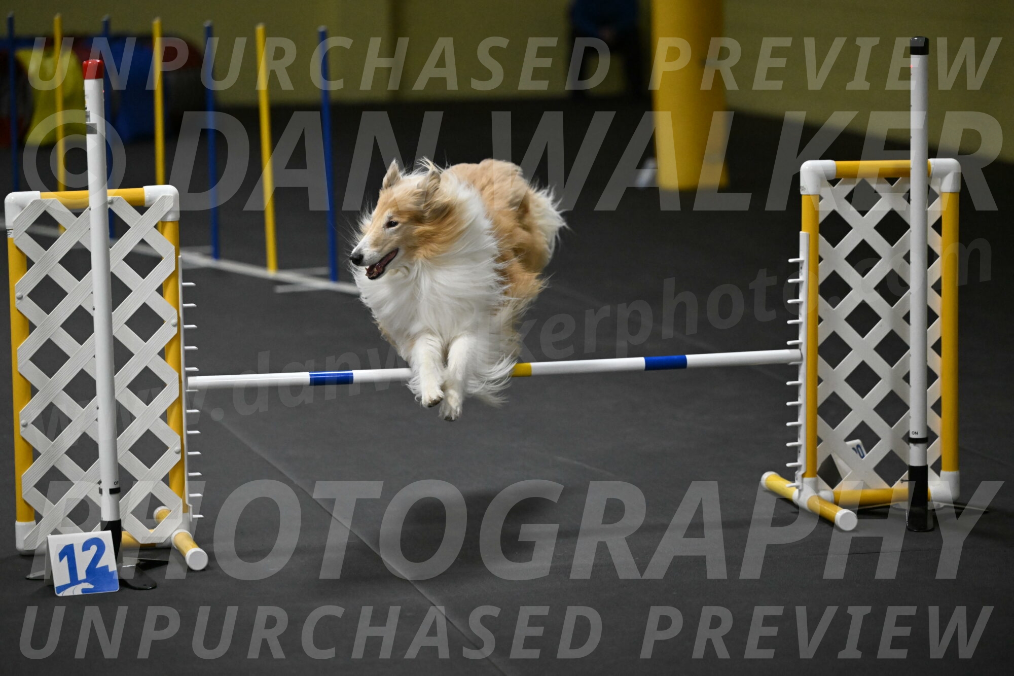 Attie-Schaffer-15319