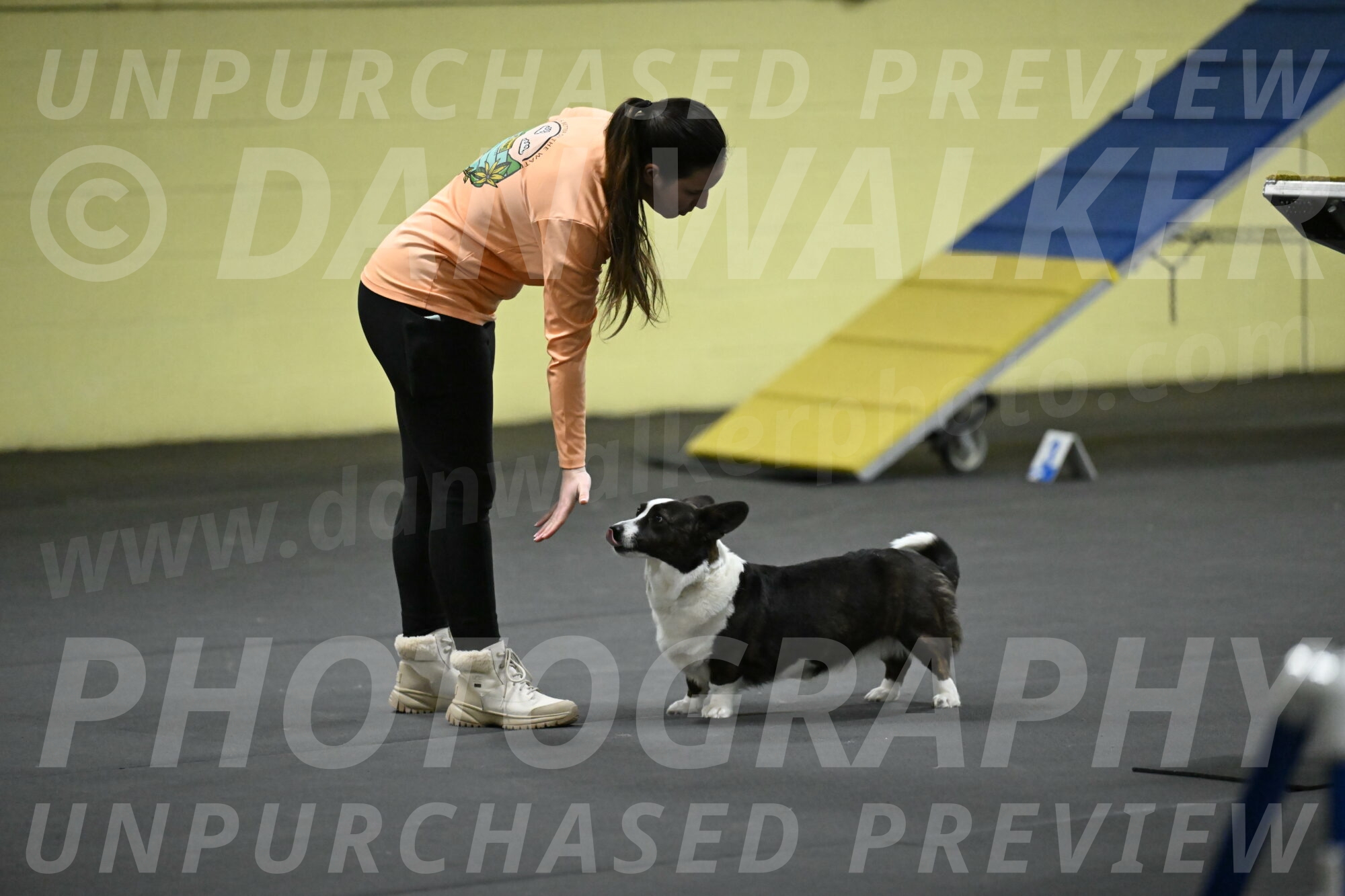 Audacity-Santin-15541