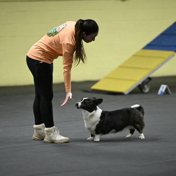 Audacity-Santin-15541