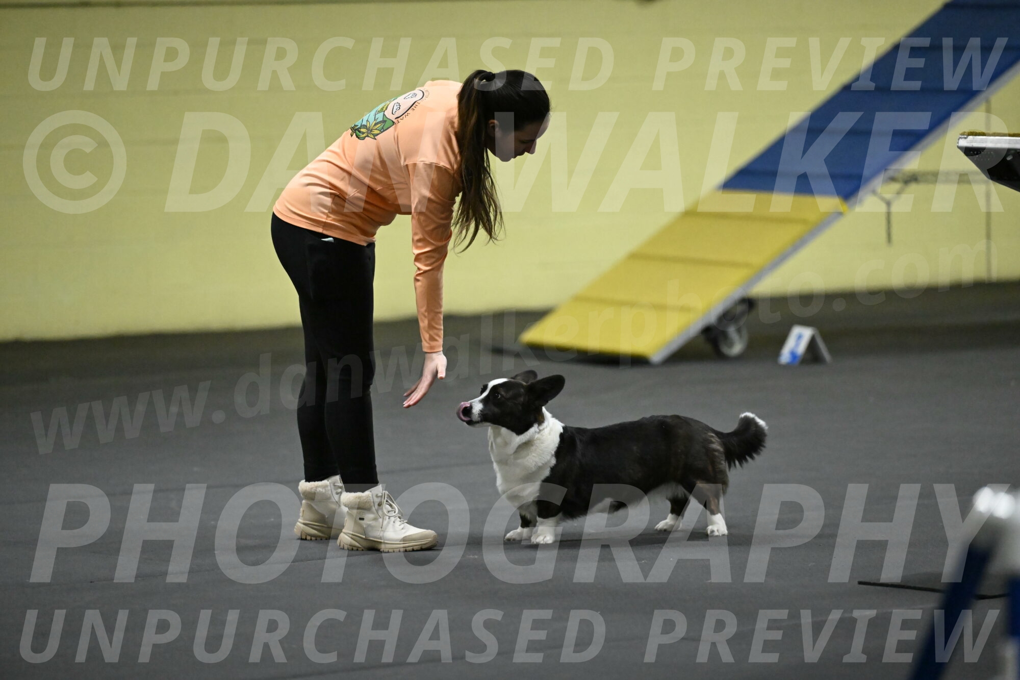 Audacity-Santin-15542