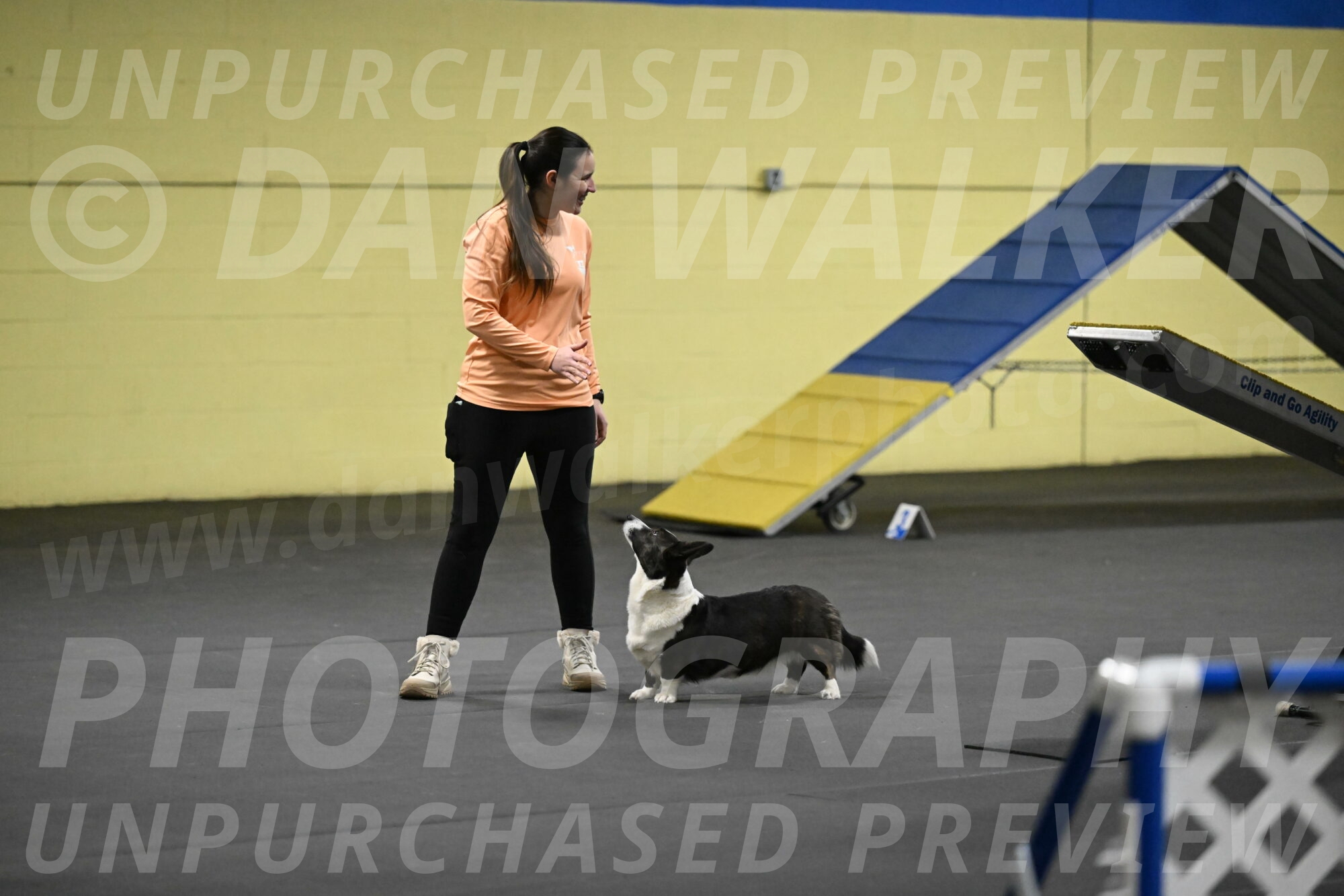 Audacity-Santin-15543