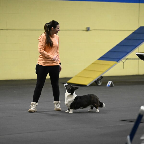 Audacity-Santin-15543