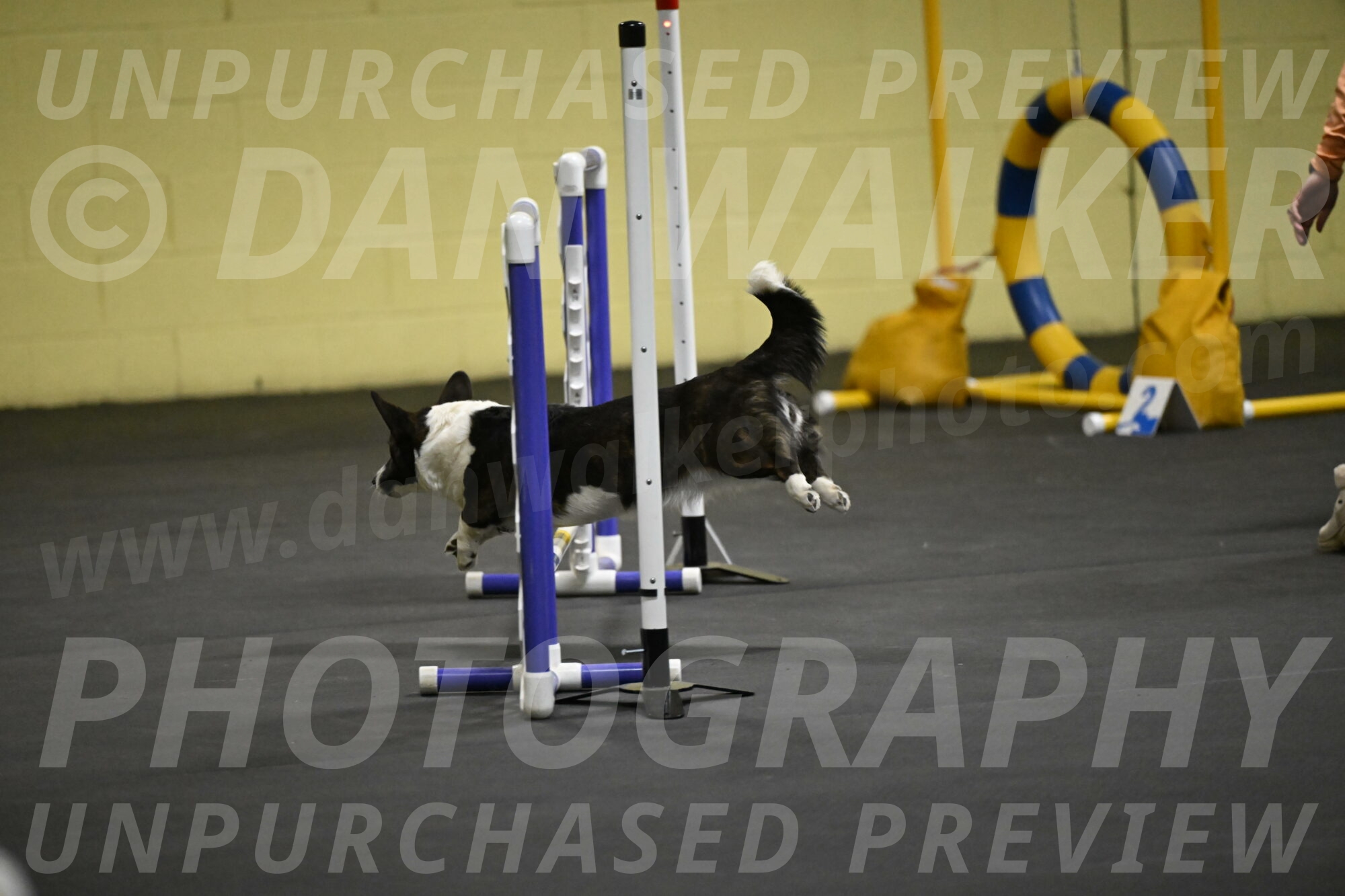 Audacity-Santin-15545