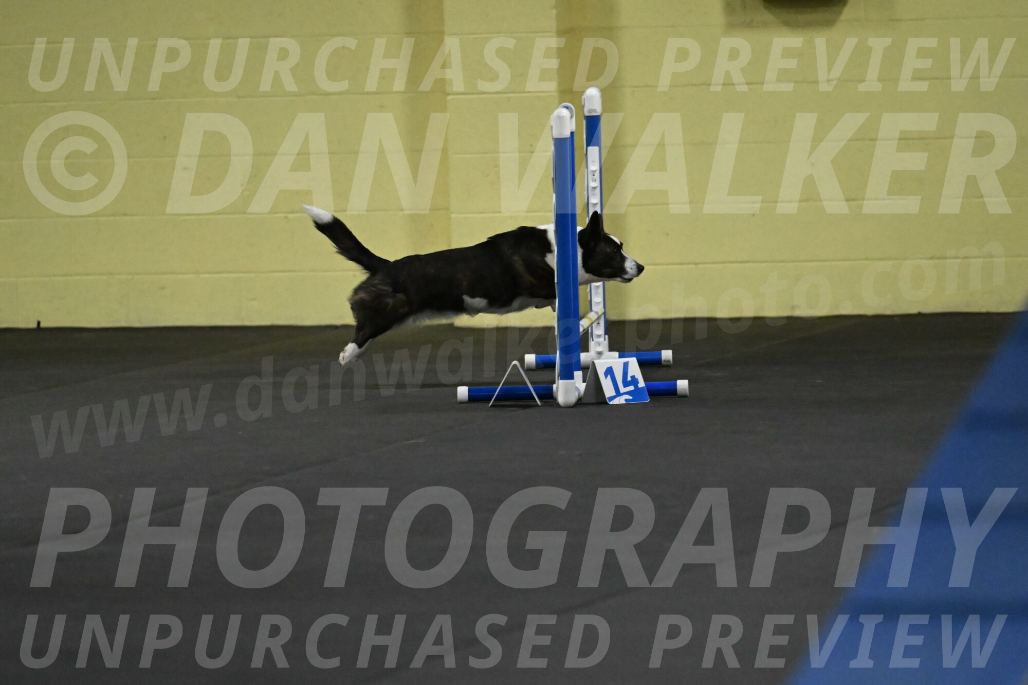 Audacity-Santin-15548