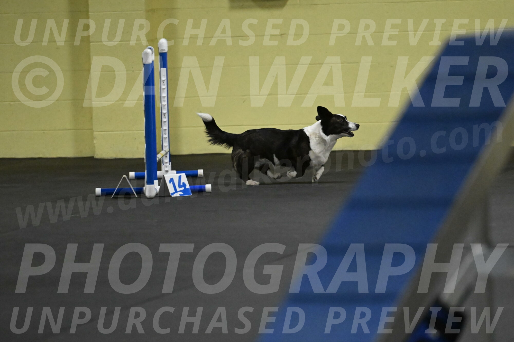 Audacity-Santin-15552