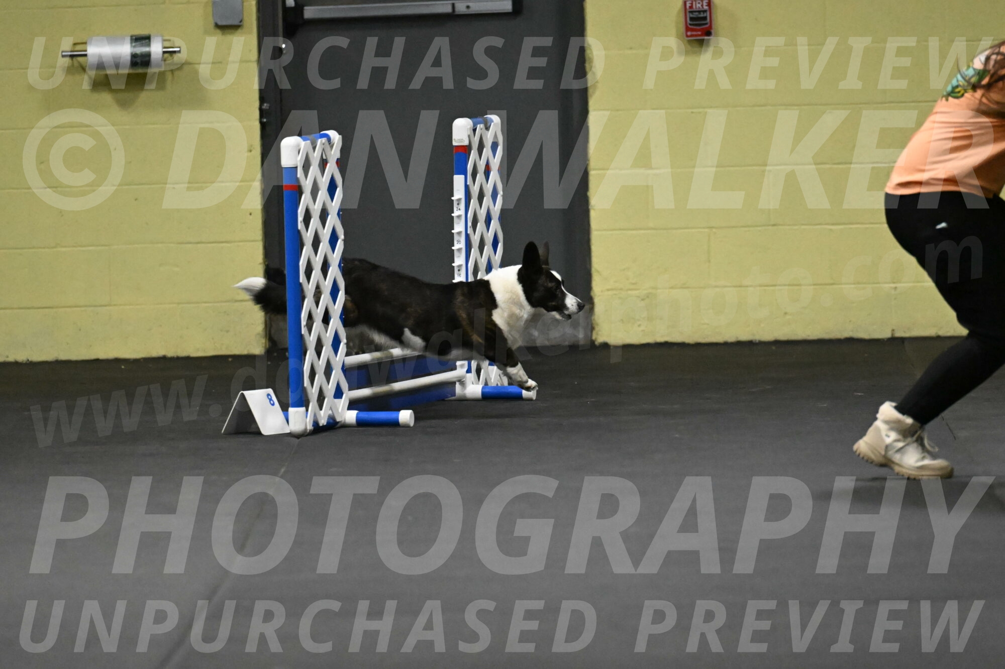 Audacity-Santin-15555