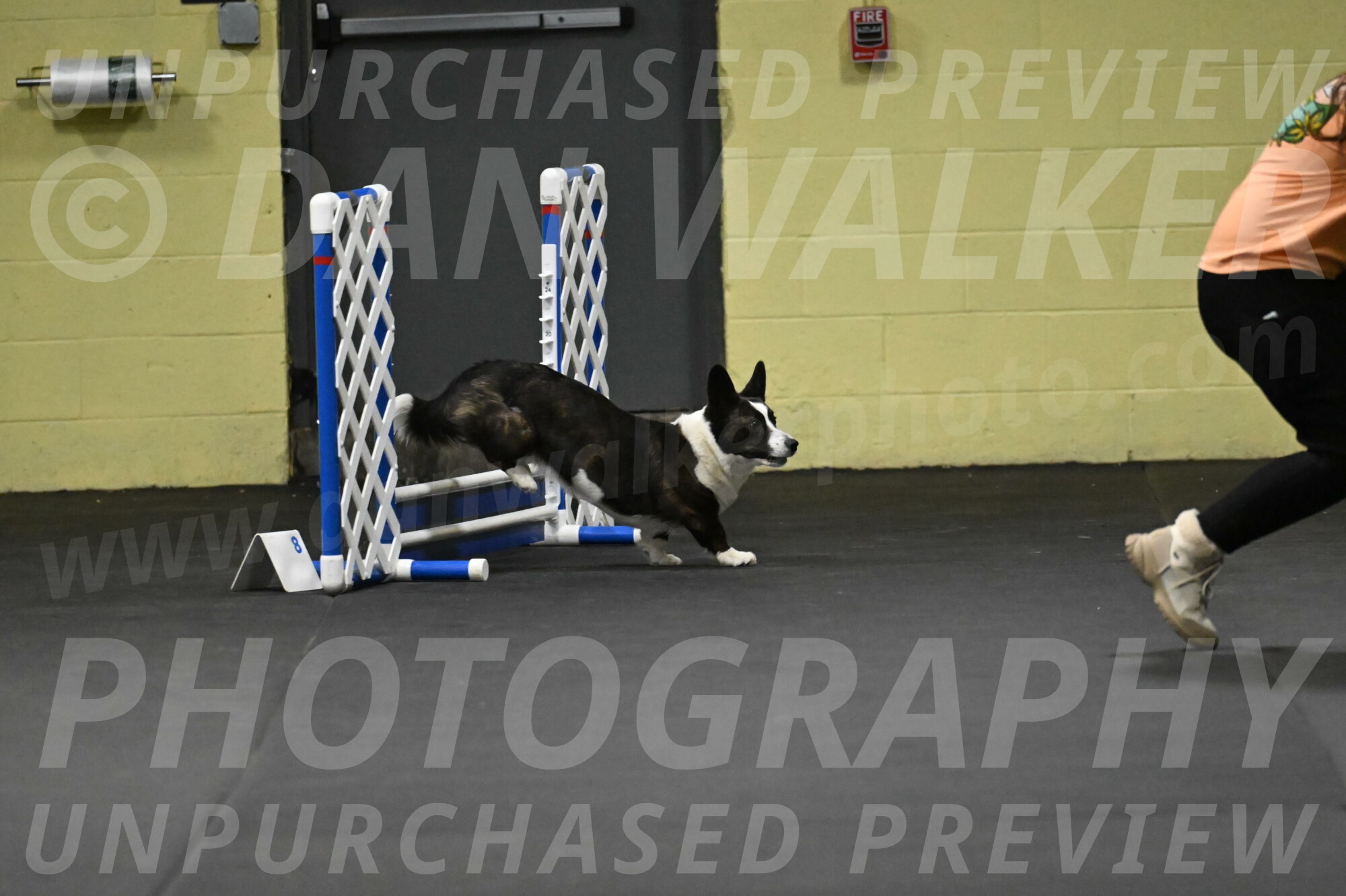 Audacity-Santin-15556