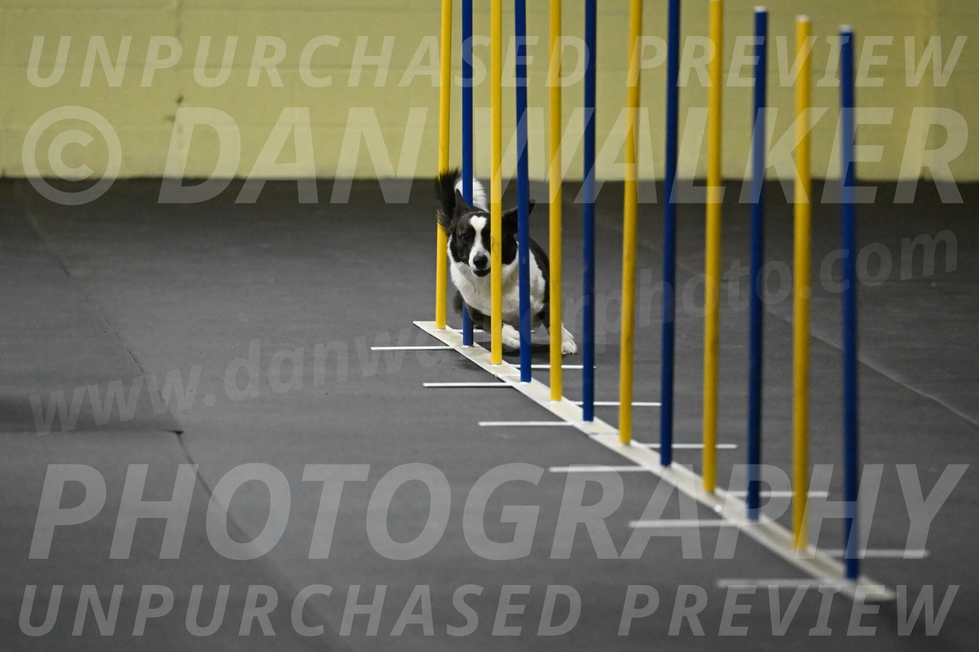 Audacity-Santin-15559