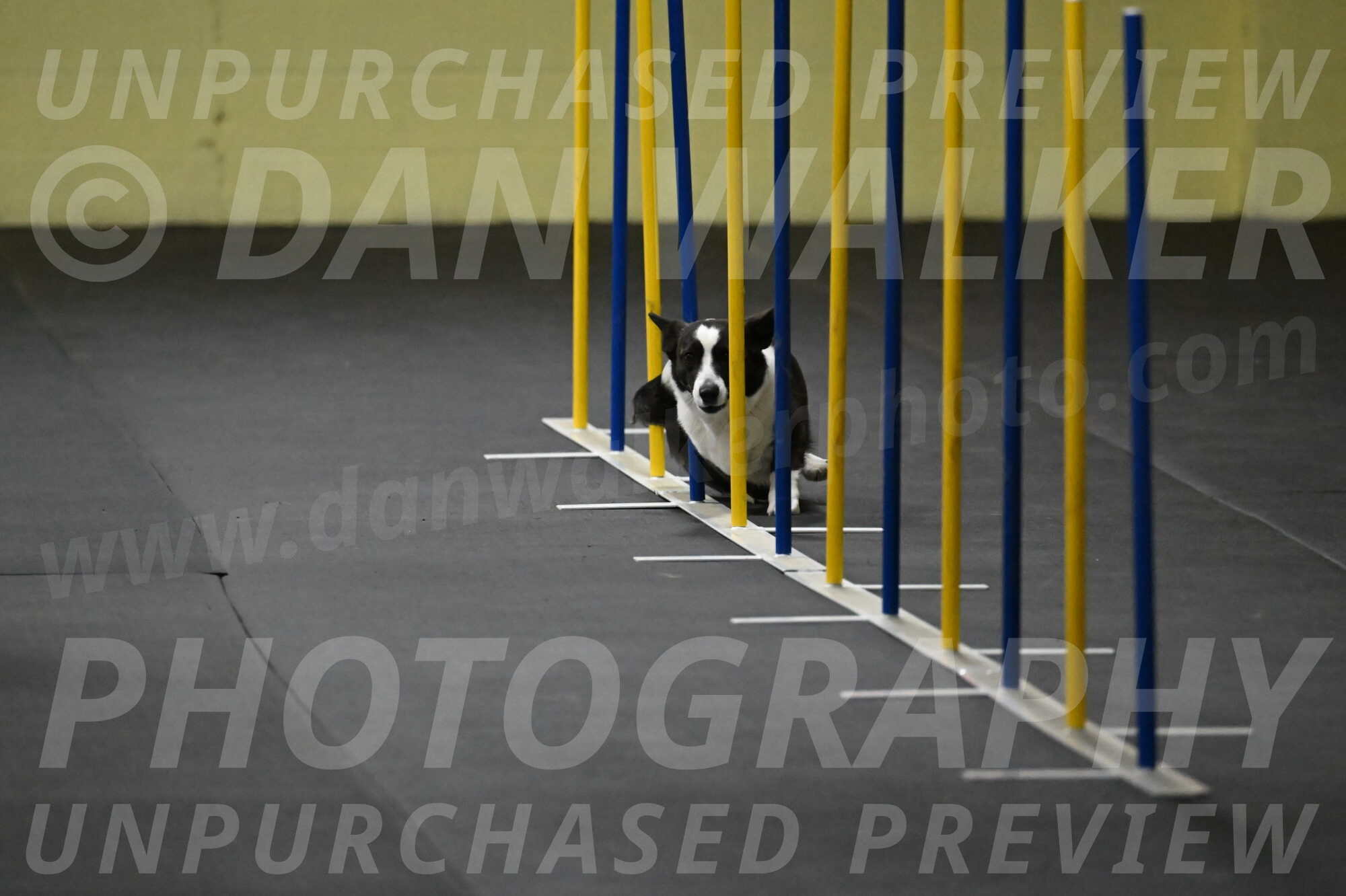 Audacity-Santin-15566