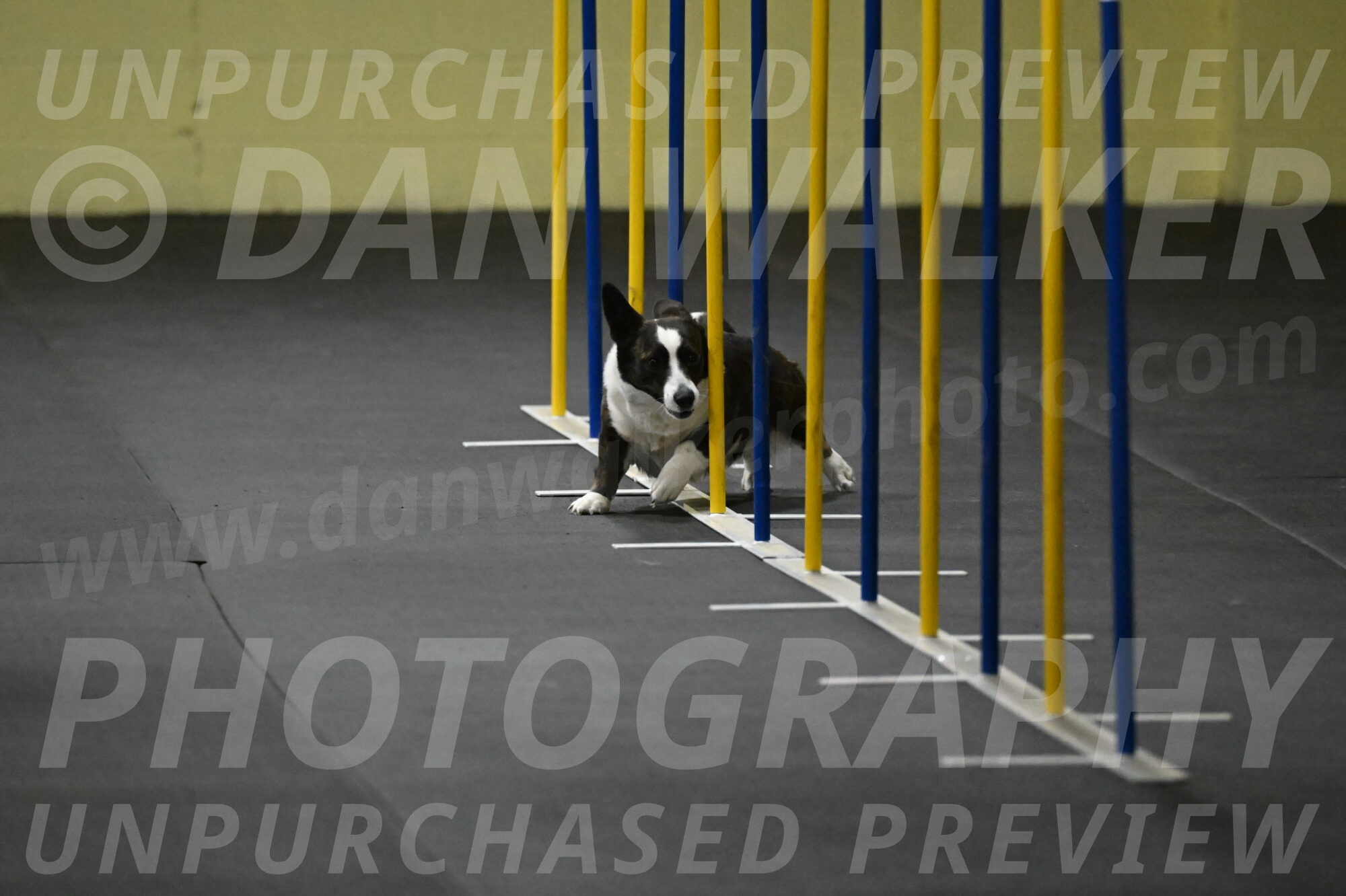 Audacity-Santin-15567