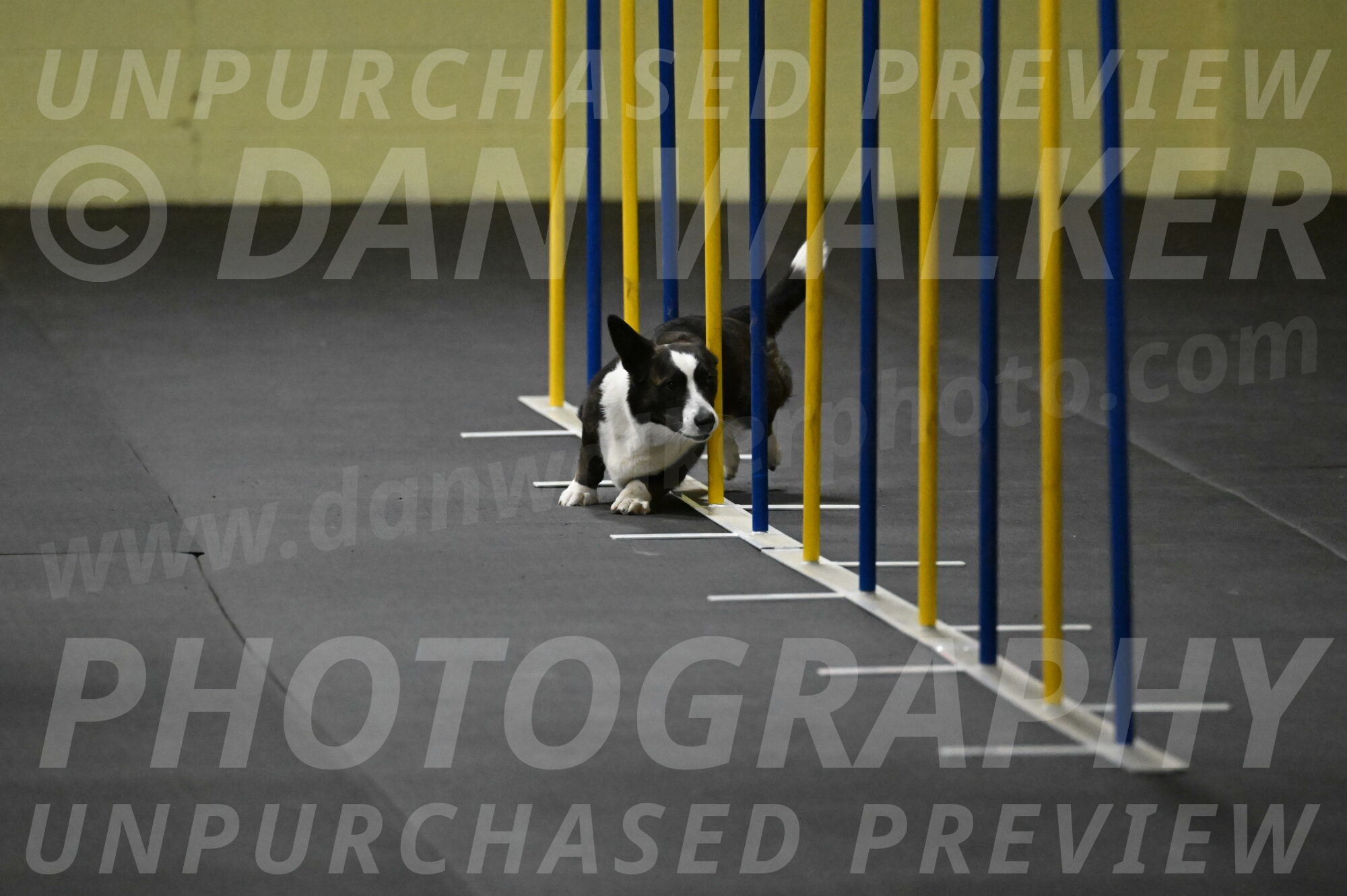 Audacity-Santin-15568