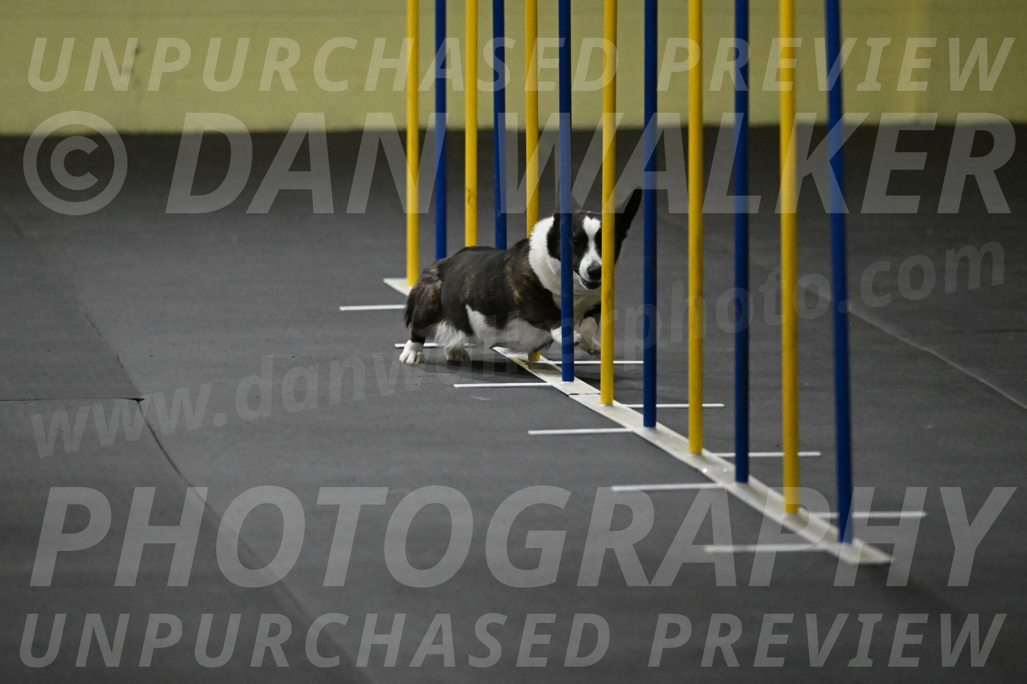 Audacity-Santin-15570