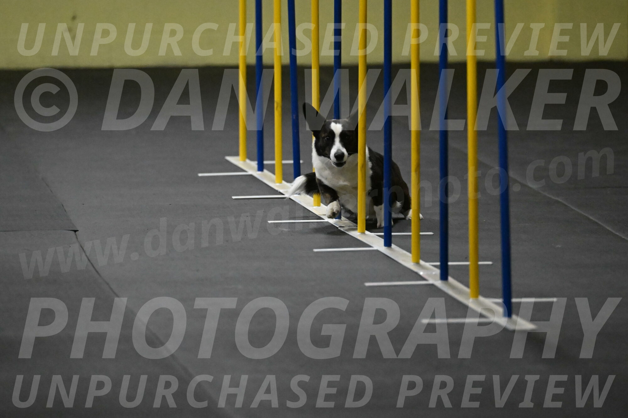 Audacity-Santin-15573