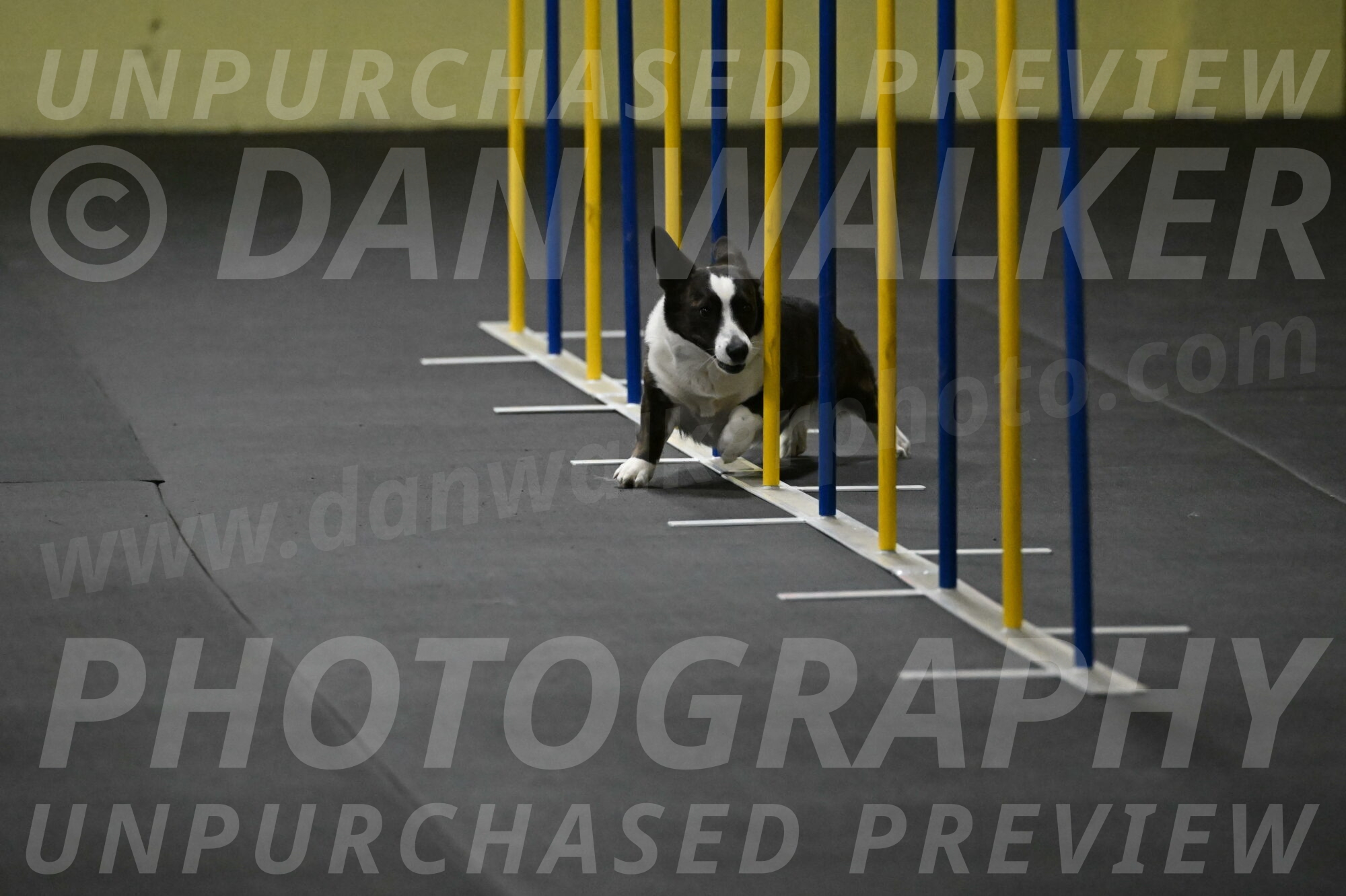 Audacity-Santin-15574