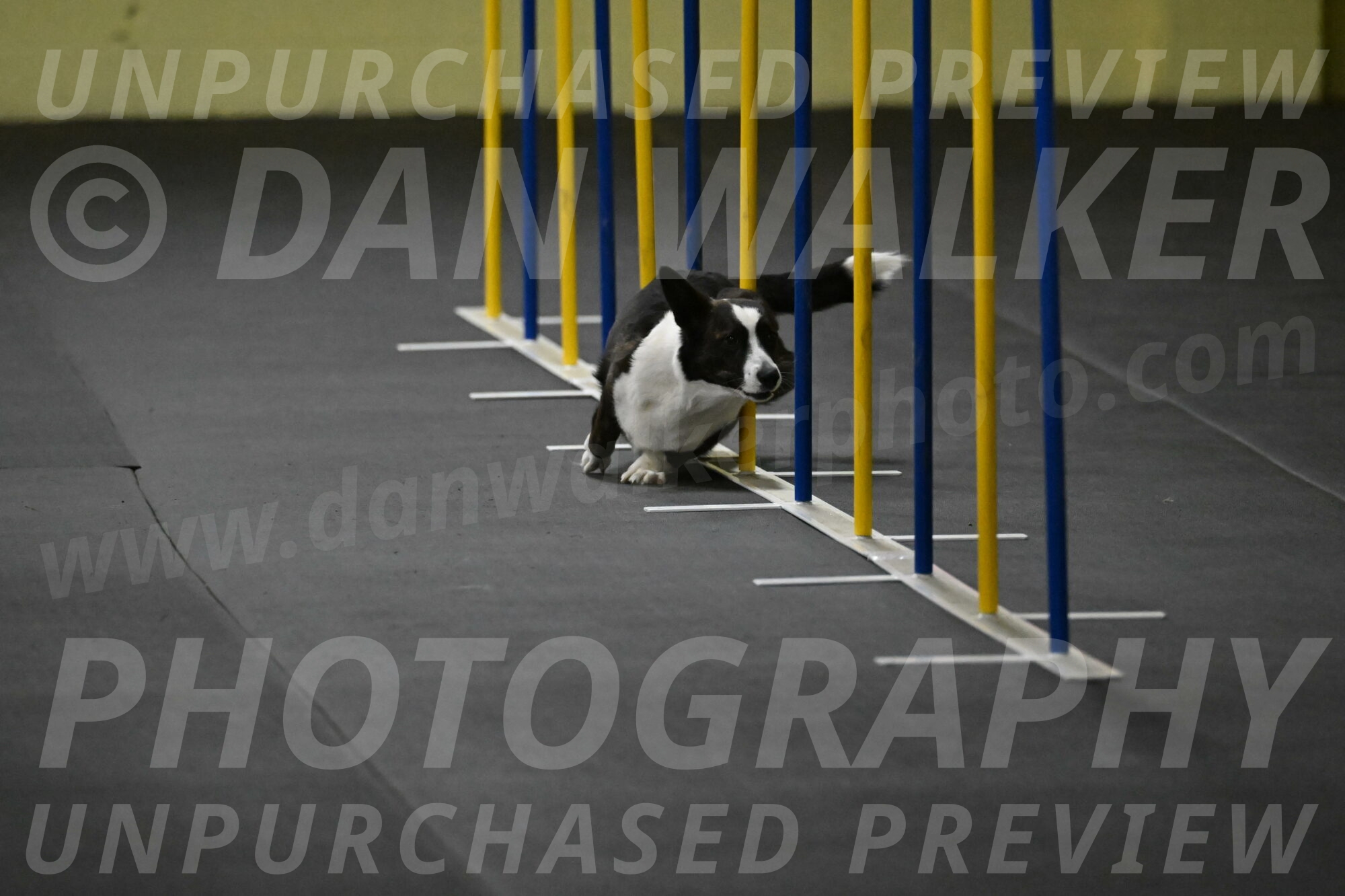 Audacity-Santin-15575