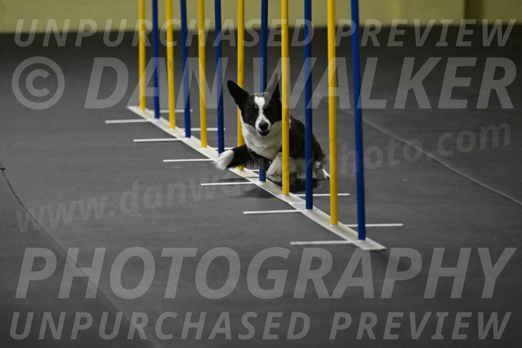 Audacity-Santin-15580