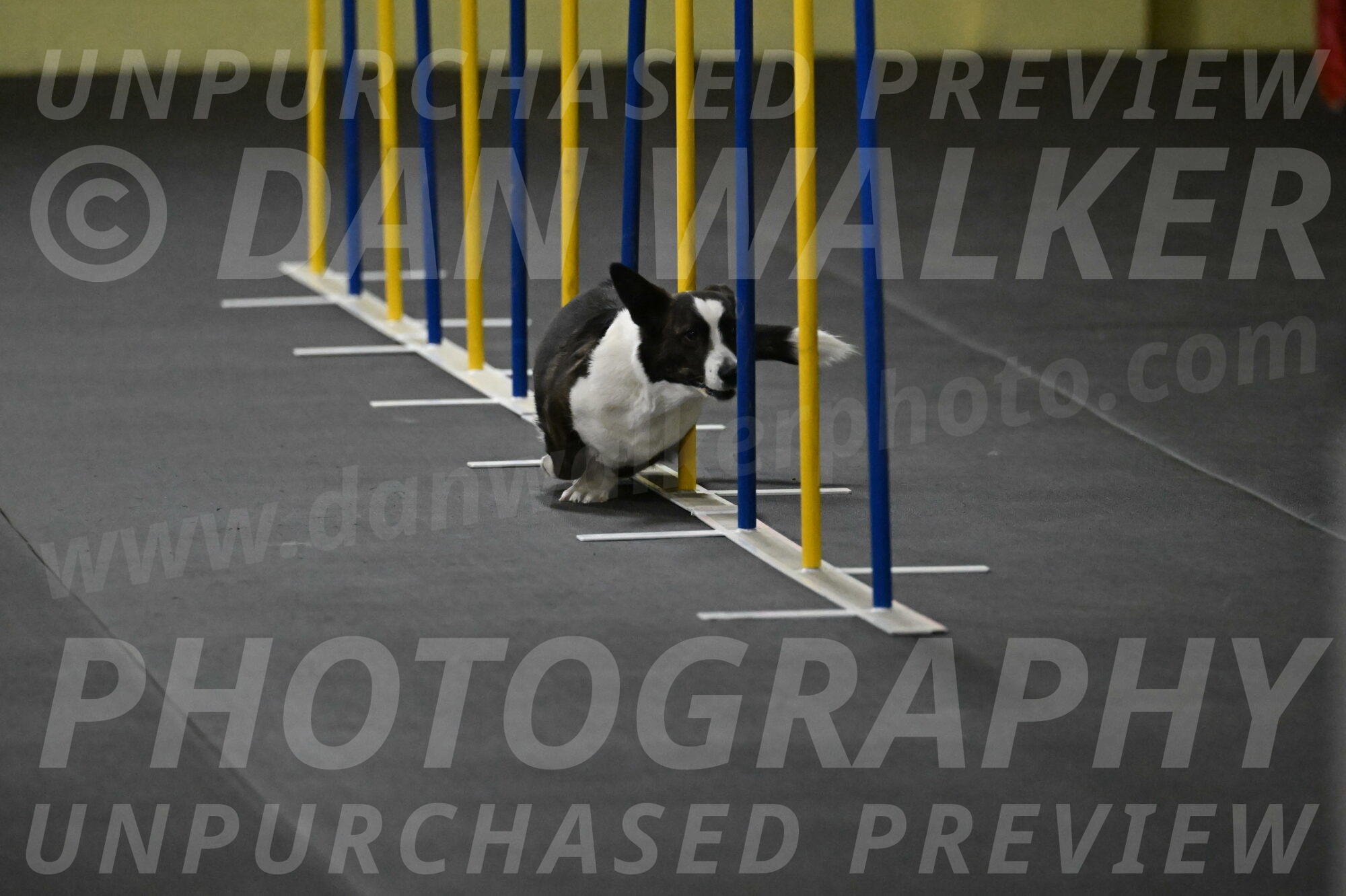 Audacity-Santin-15582