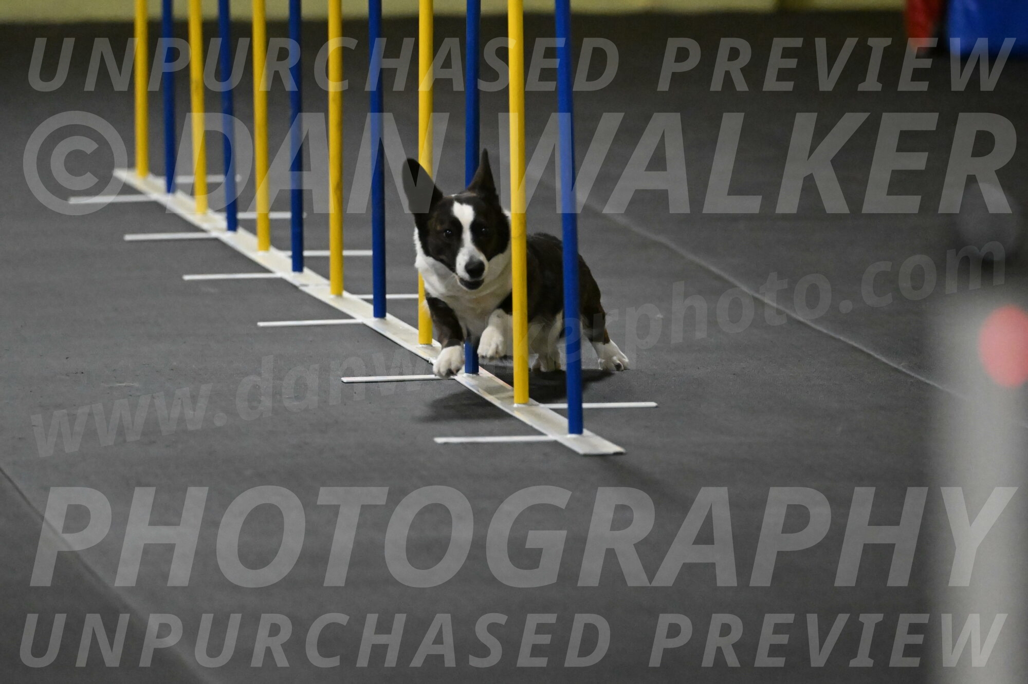 Audacity-Santin-15587