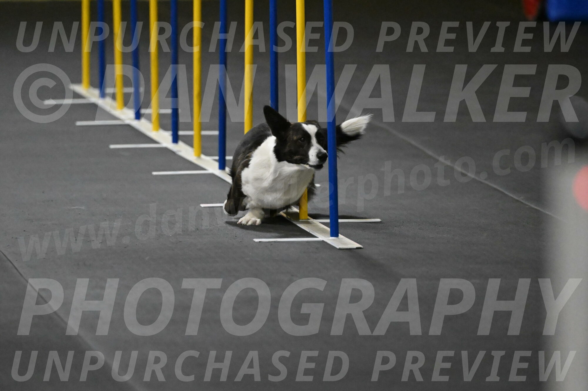 Audacity-Santin-15589