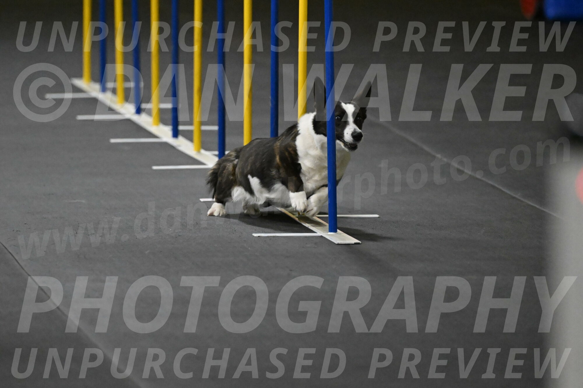 Audacity-Santin-15590