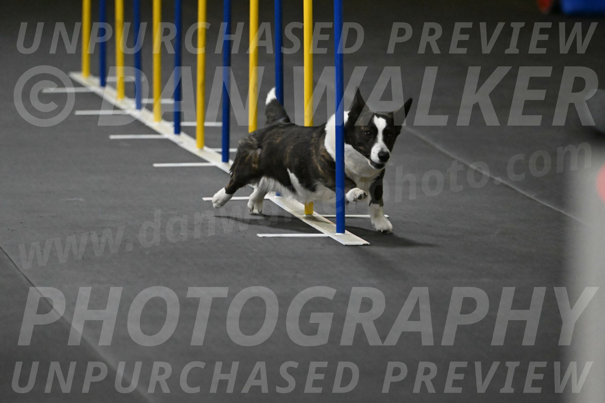 Audacity-Santin-15591