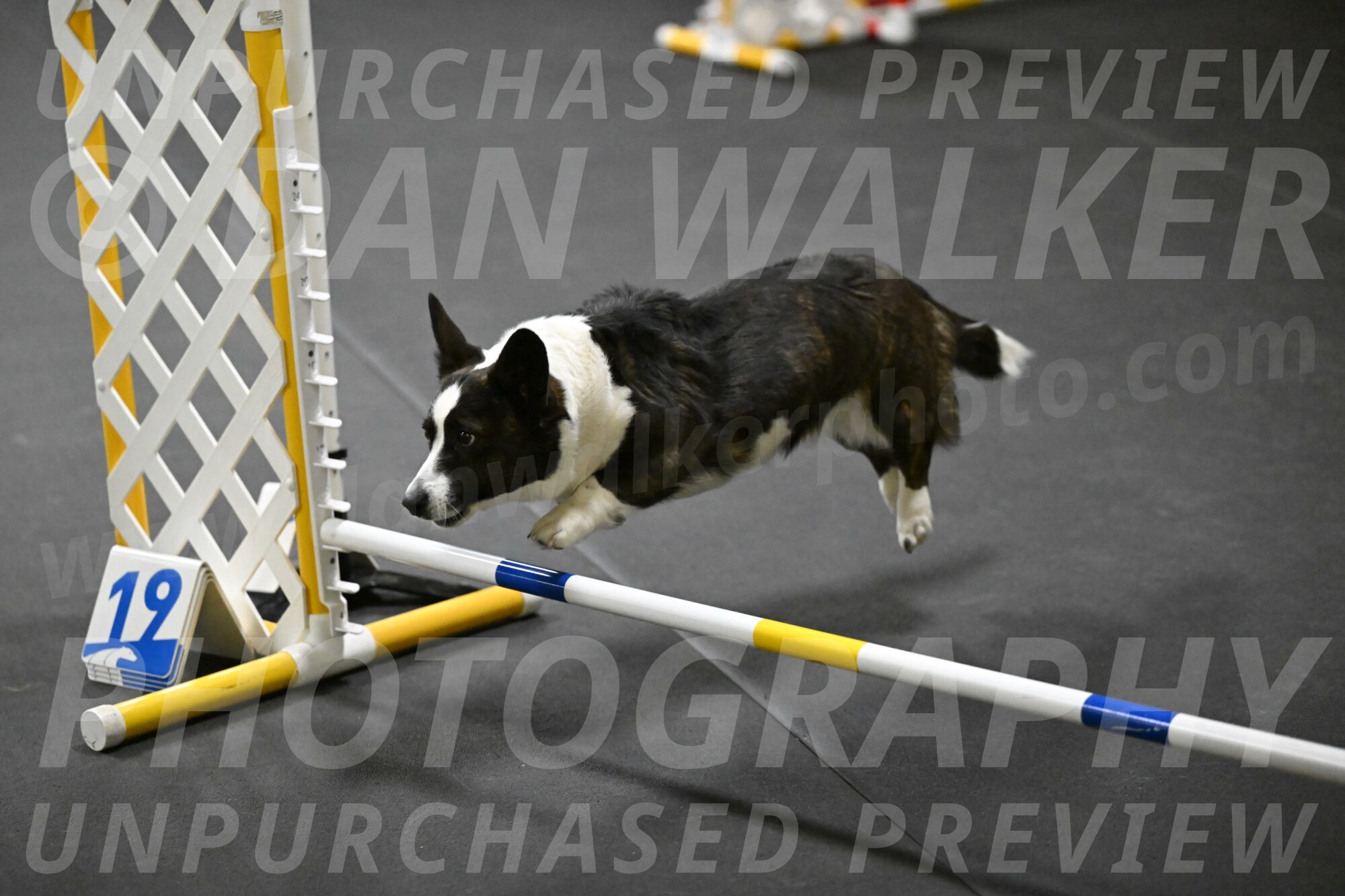 Audacity-Santin-15596