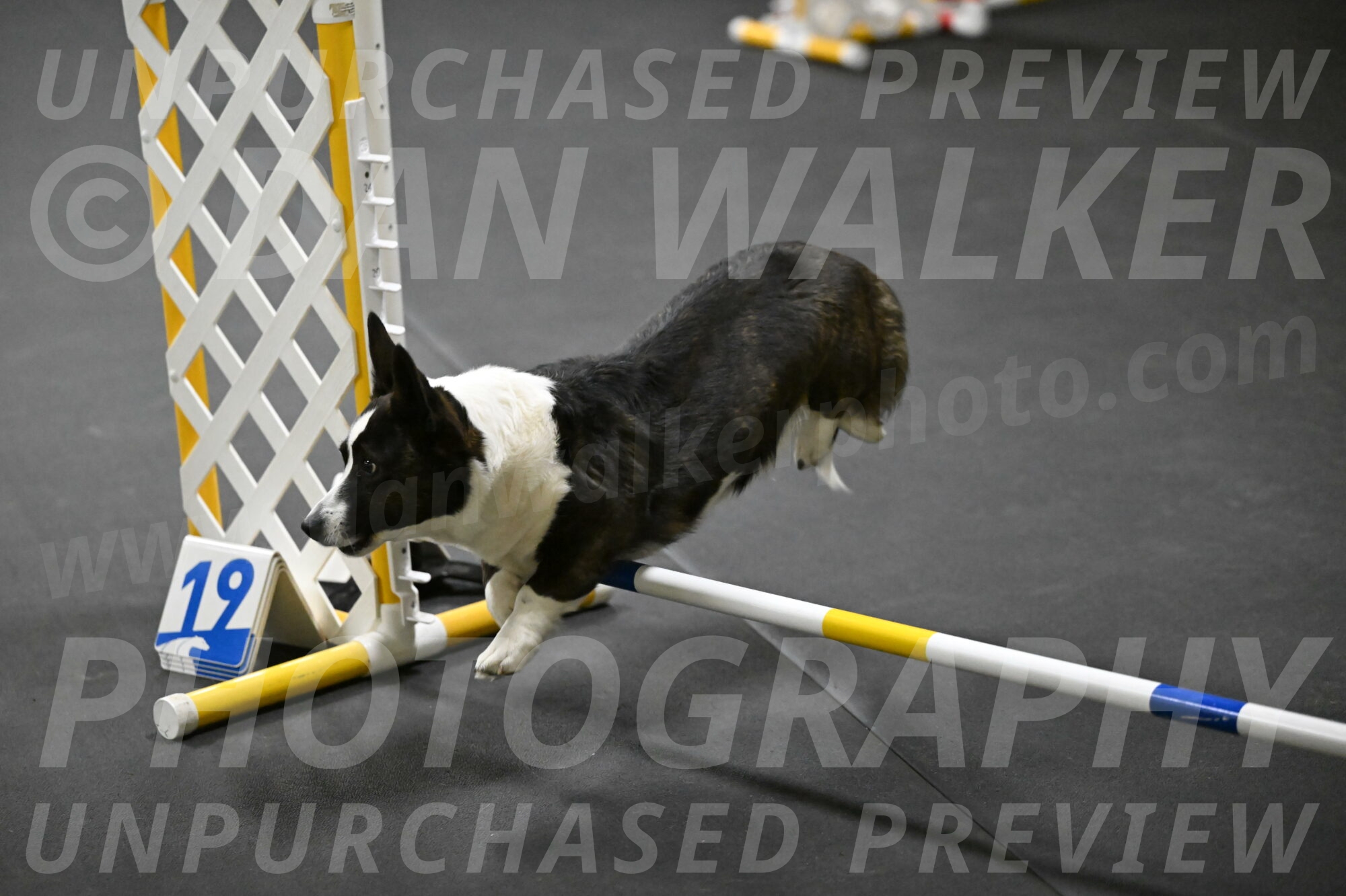 Audacity-Santin-15597