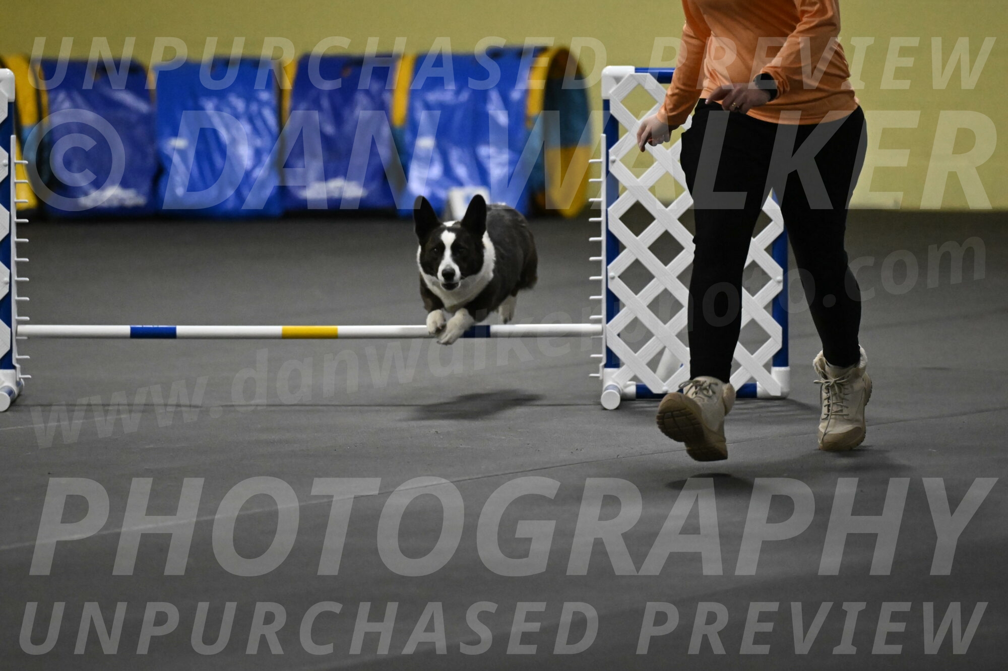 Audacity-Santin-15602