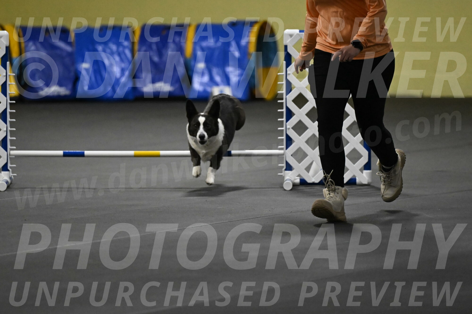 Audacity-Santin-15603