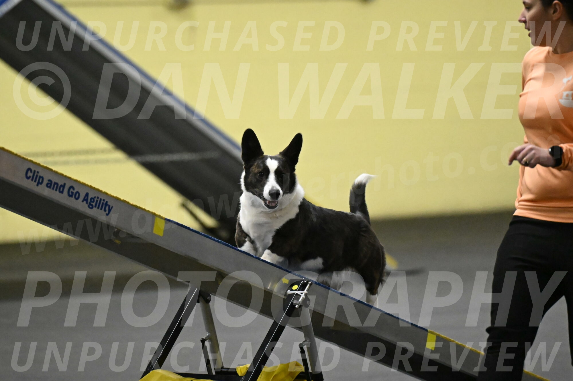 Audacity-Santin-15606