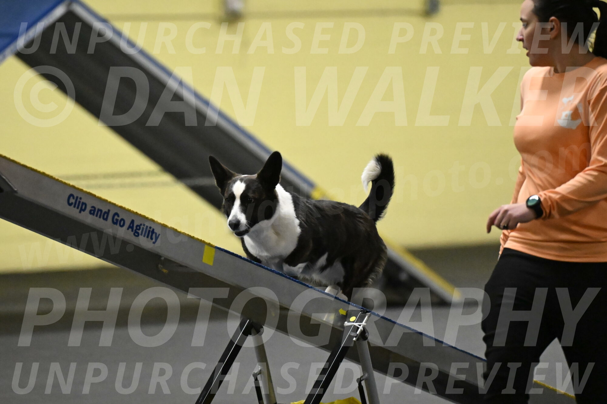 Audacity-Santin-15607