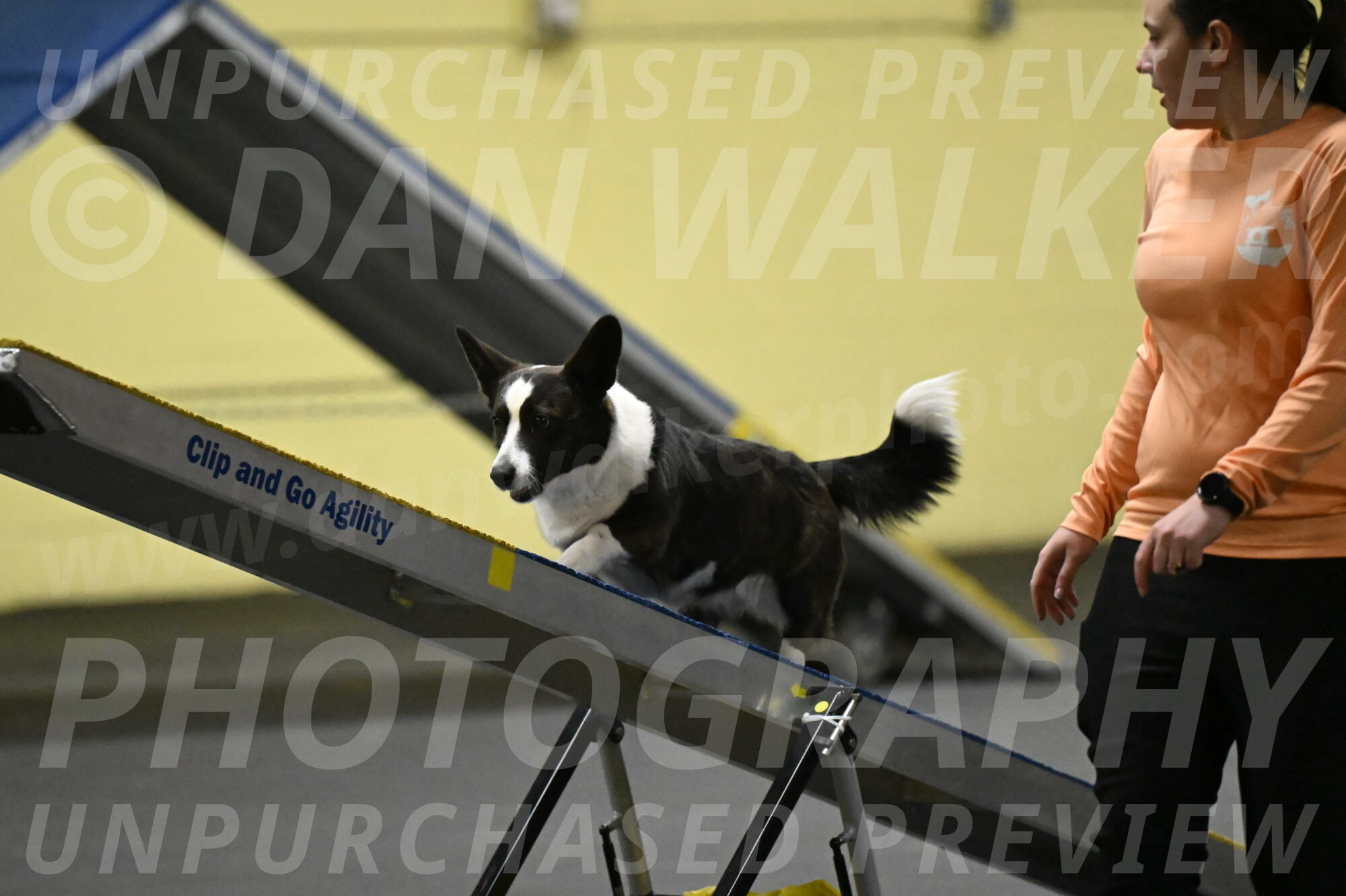 Audacity-Santin-15608