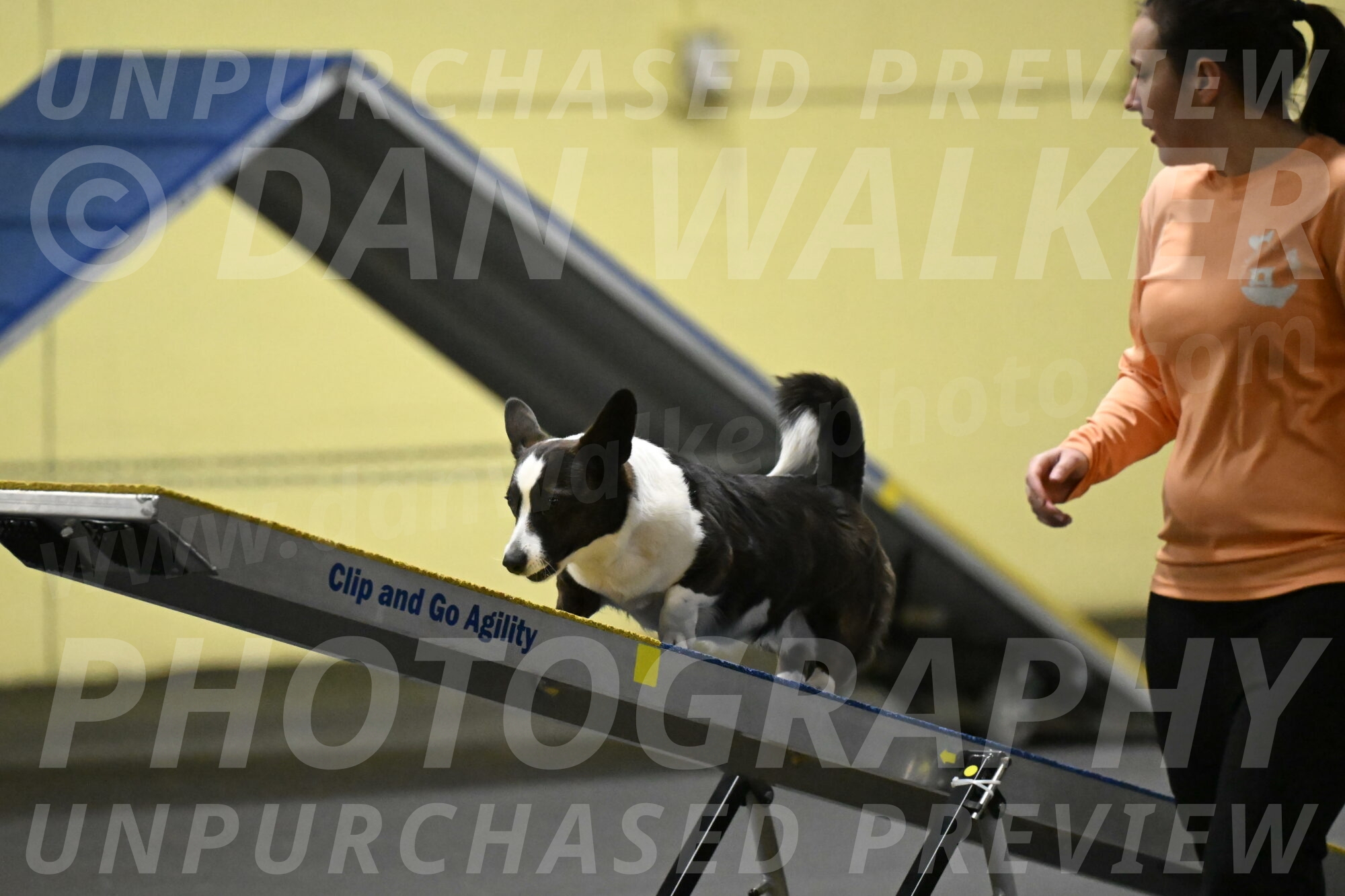 Audacity-Santin-15609