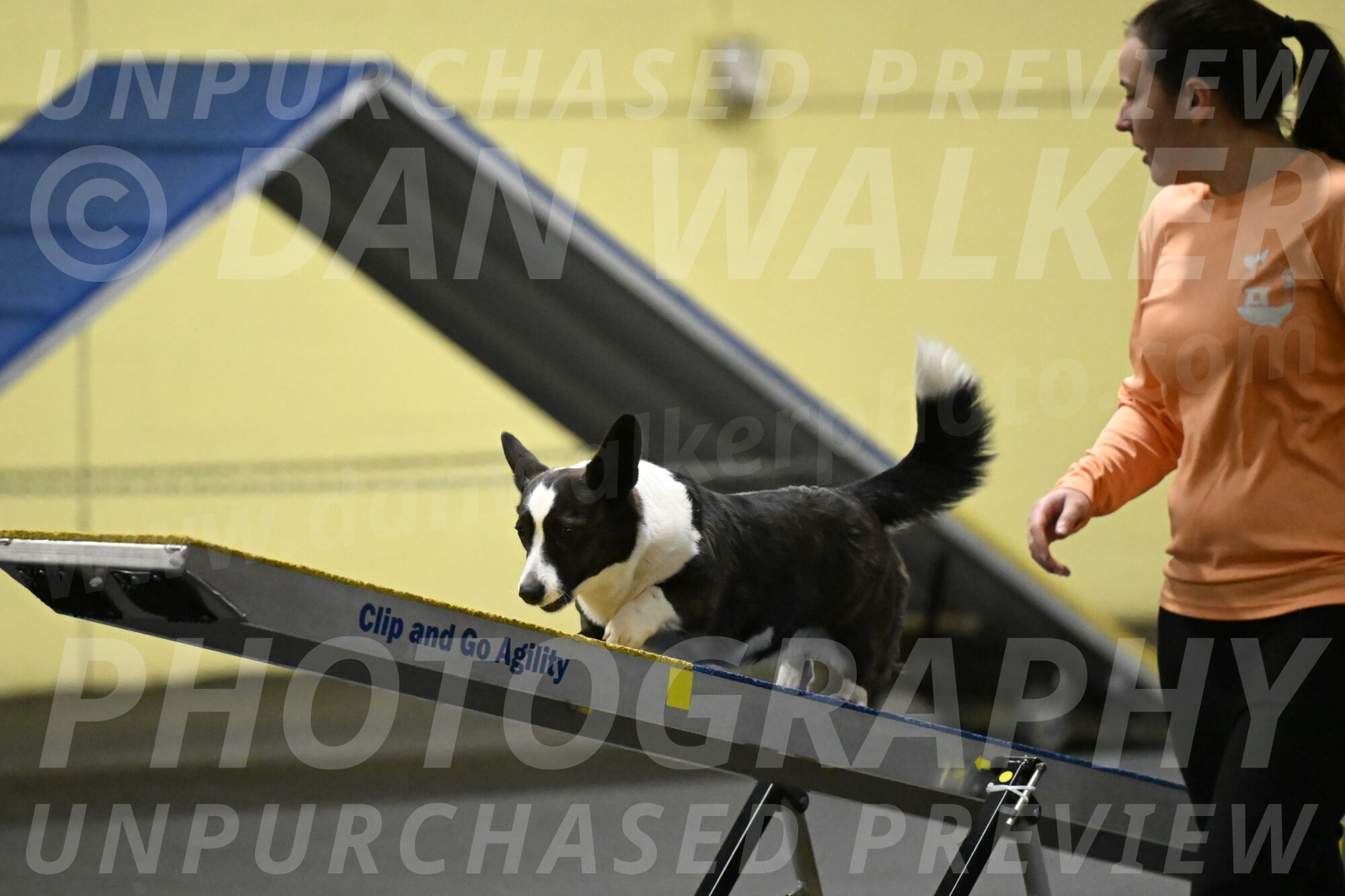 Audacity-Santin-15610