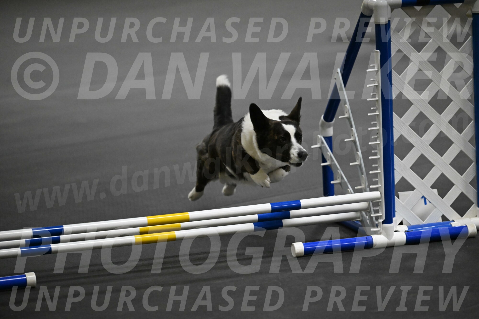 Audacity-Santin-15617