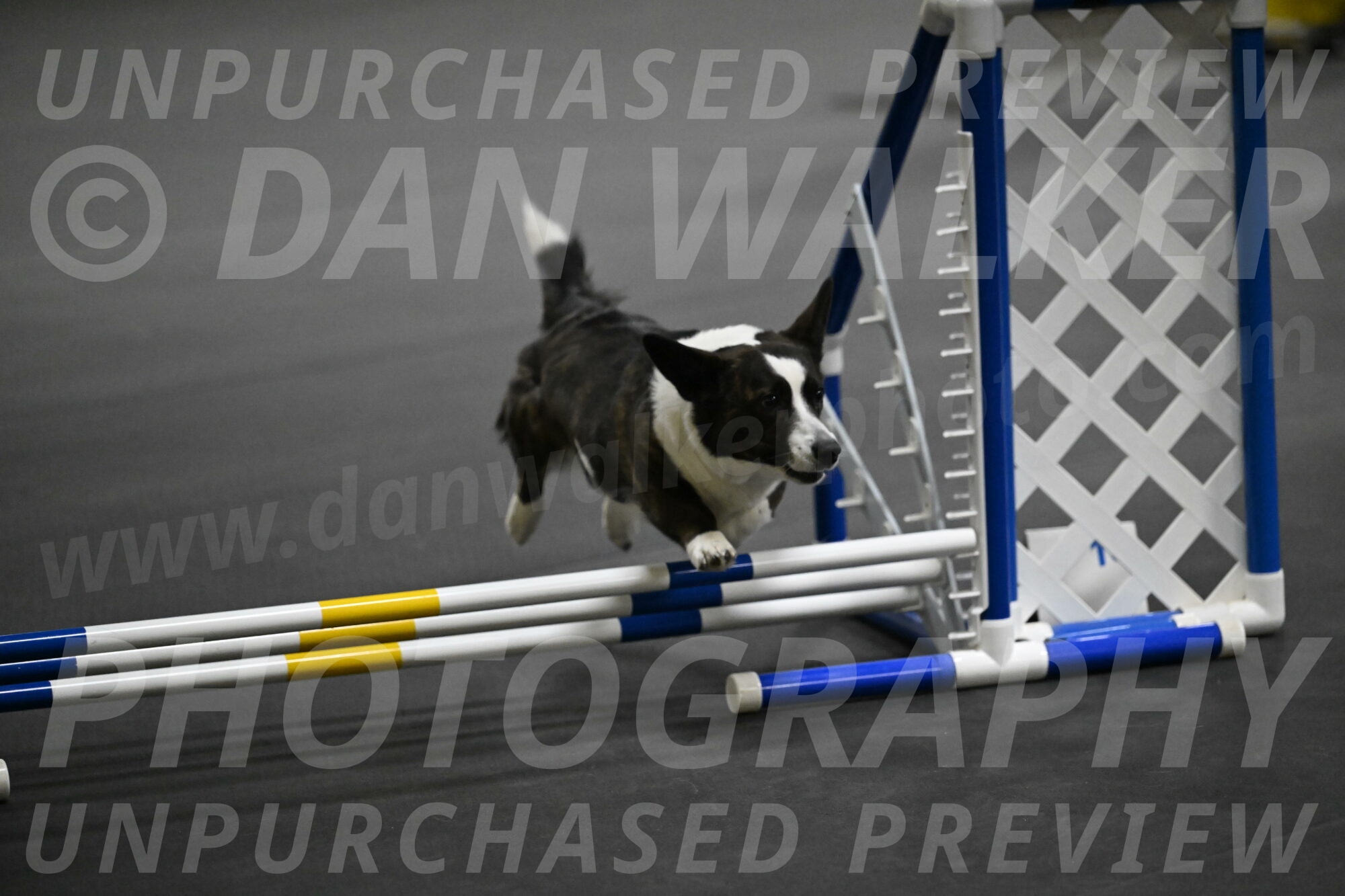 Audacity-Santin-15618