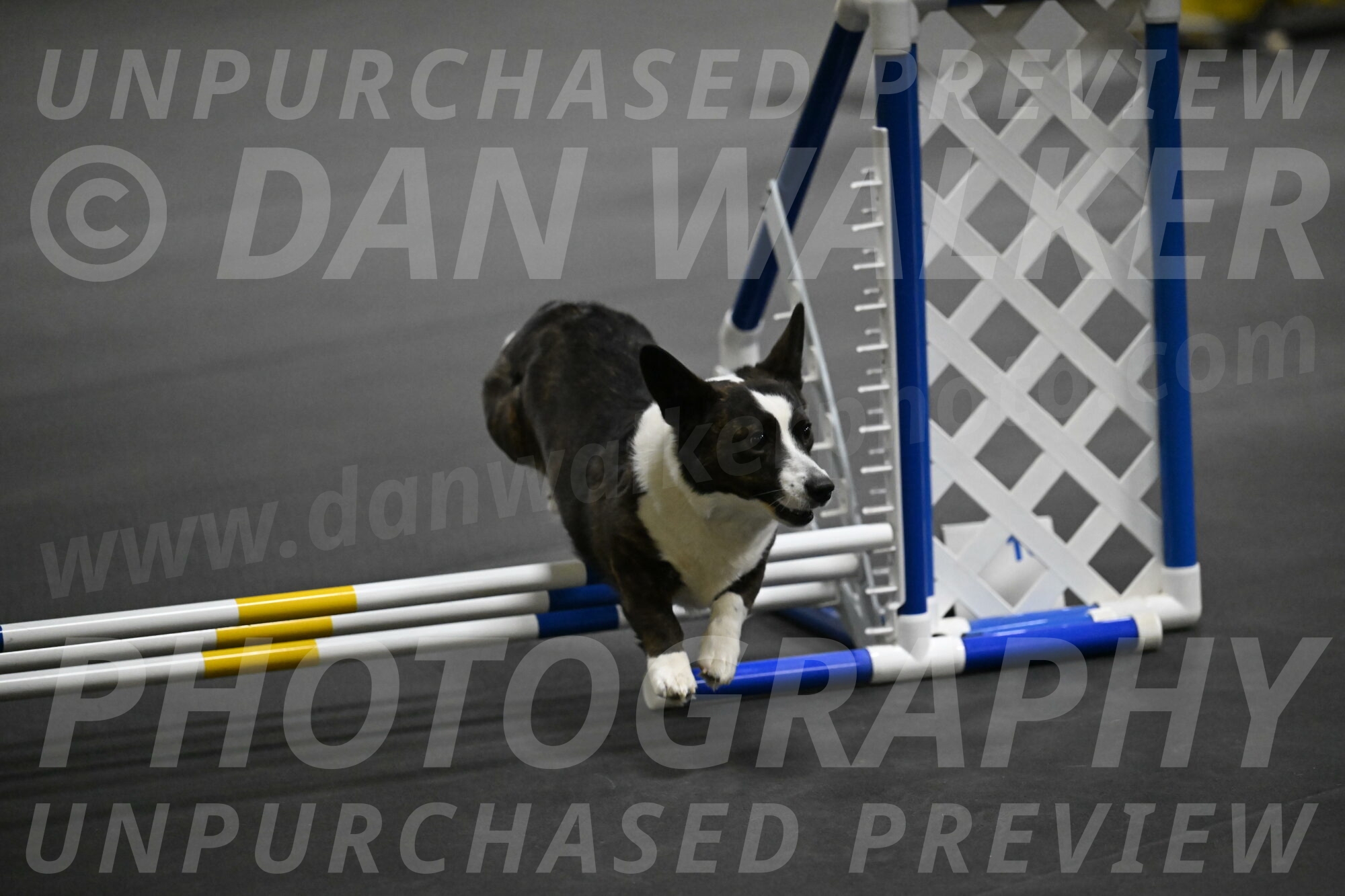 Audacity-Santin-15619