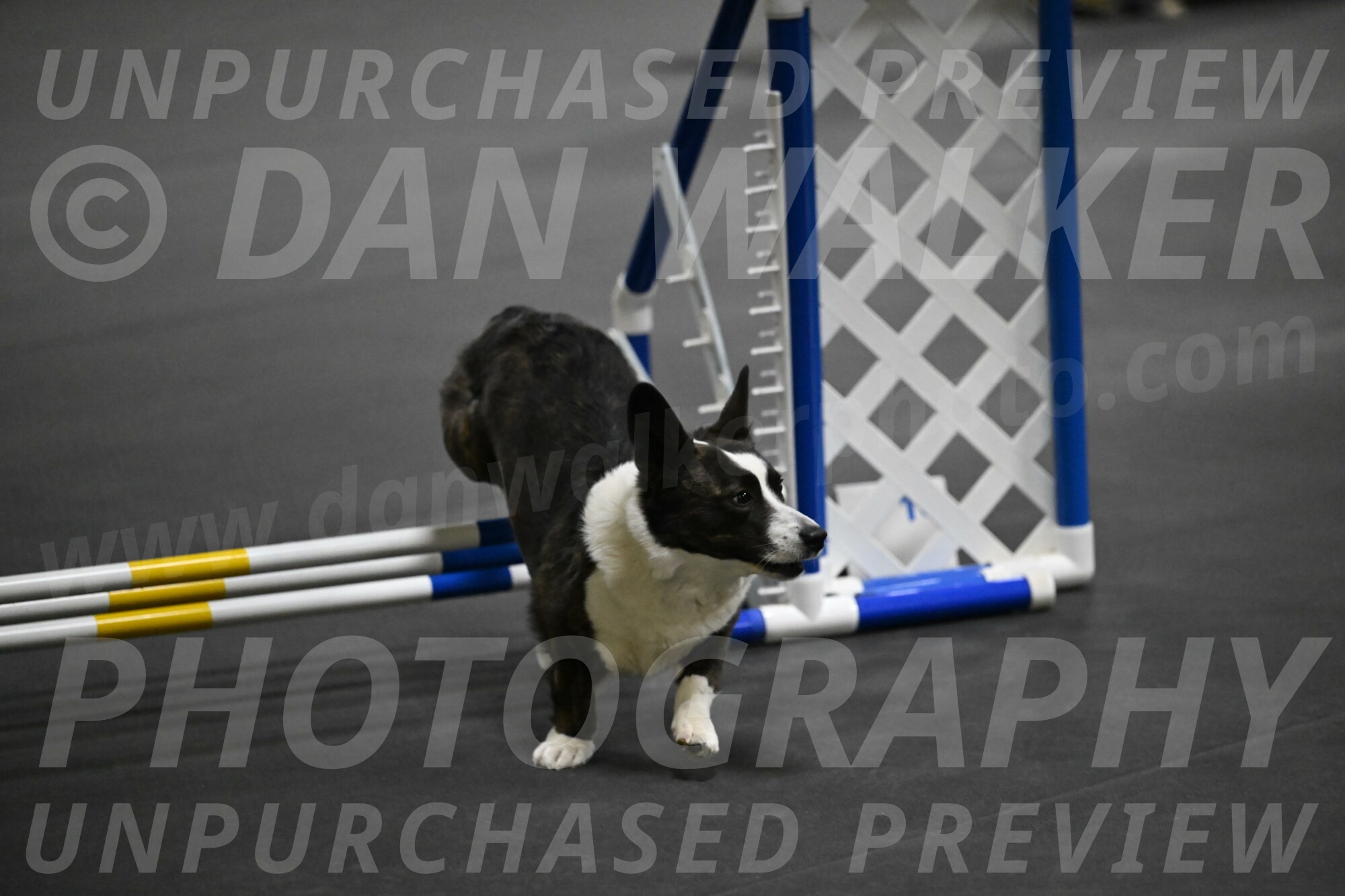 Audacity-Santin-15620