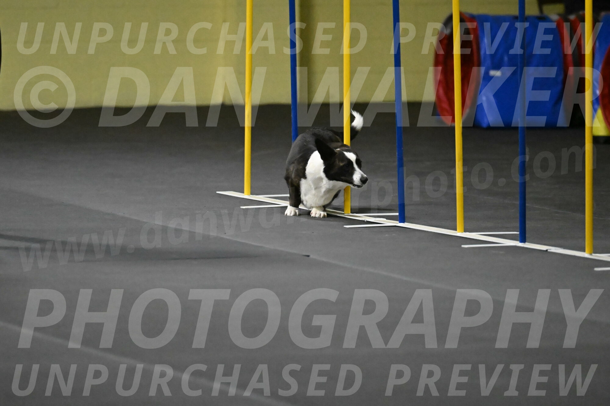 Audacity-Santin-15623