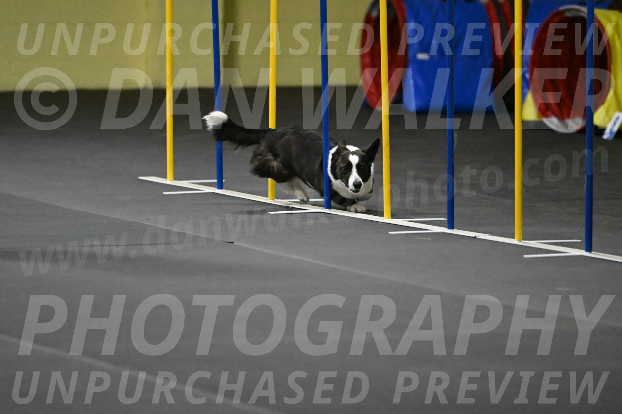 Audacity-Santin-15627