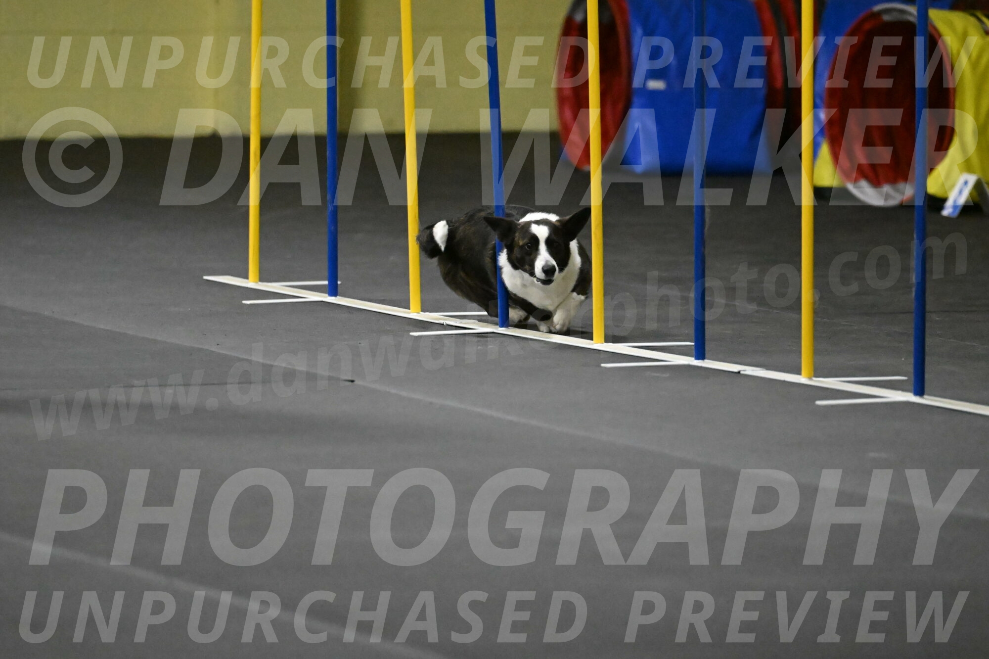 Audacity-Santin-15628