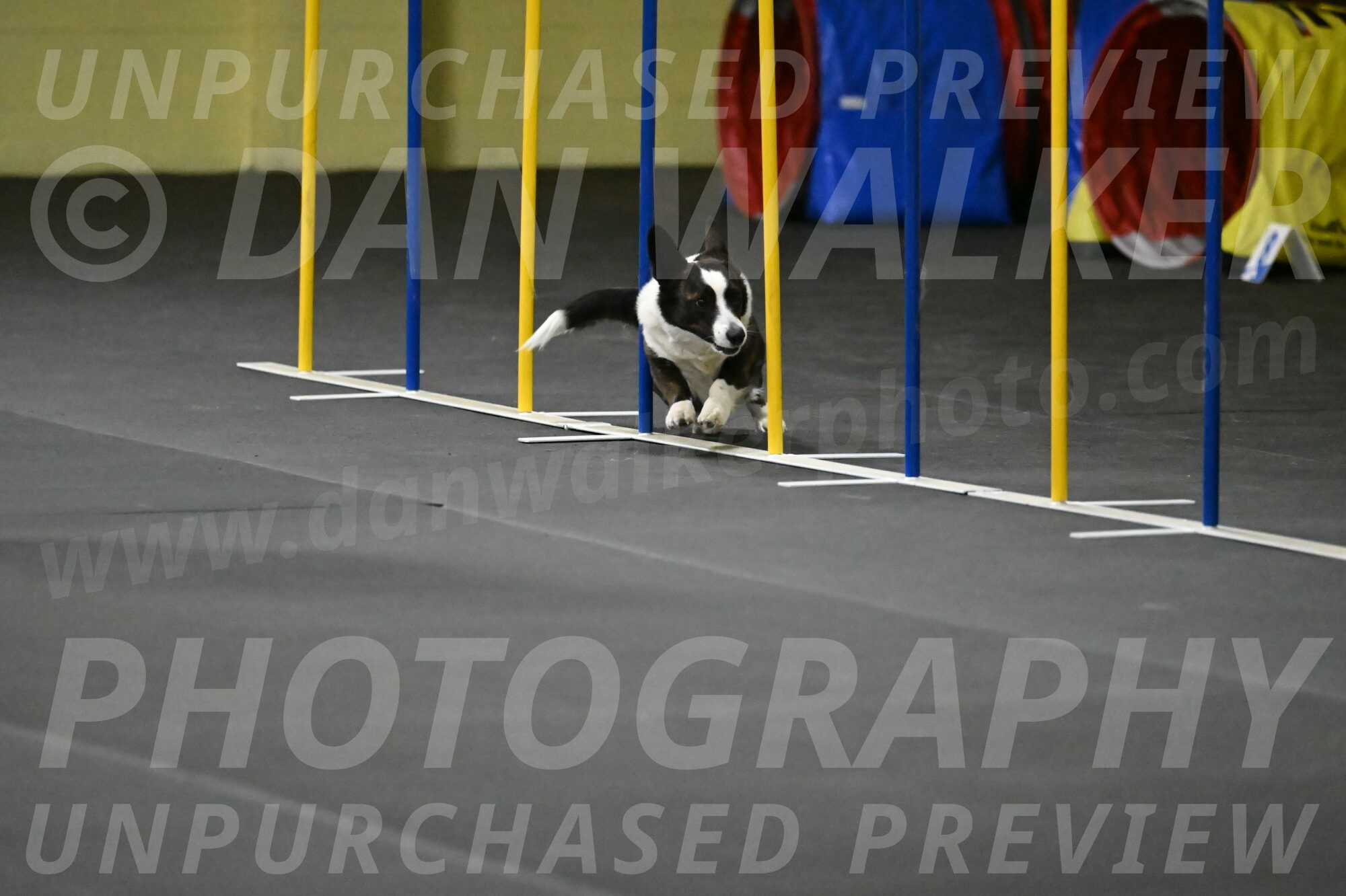 Audacity-Santin-15629