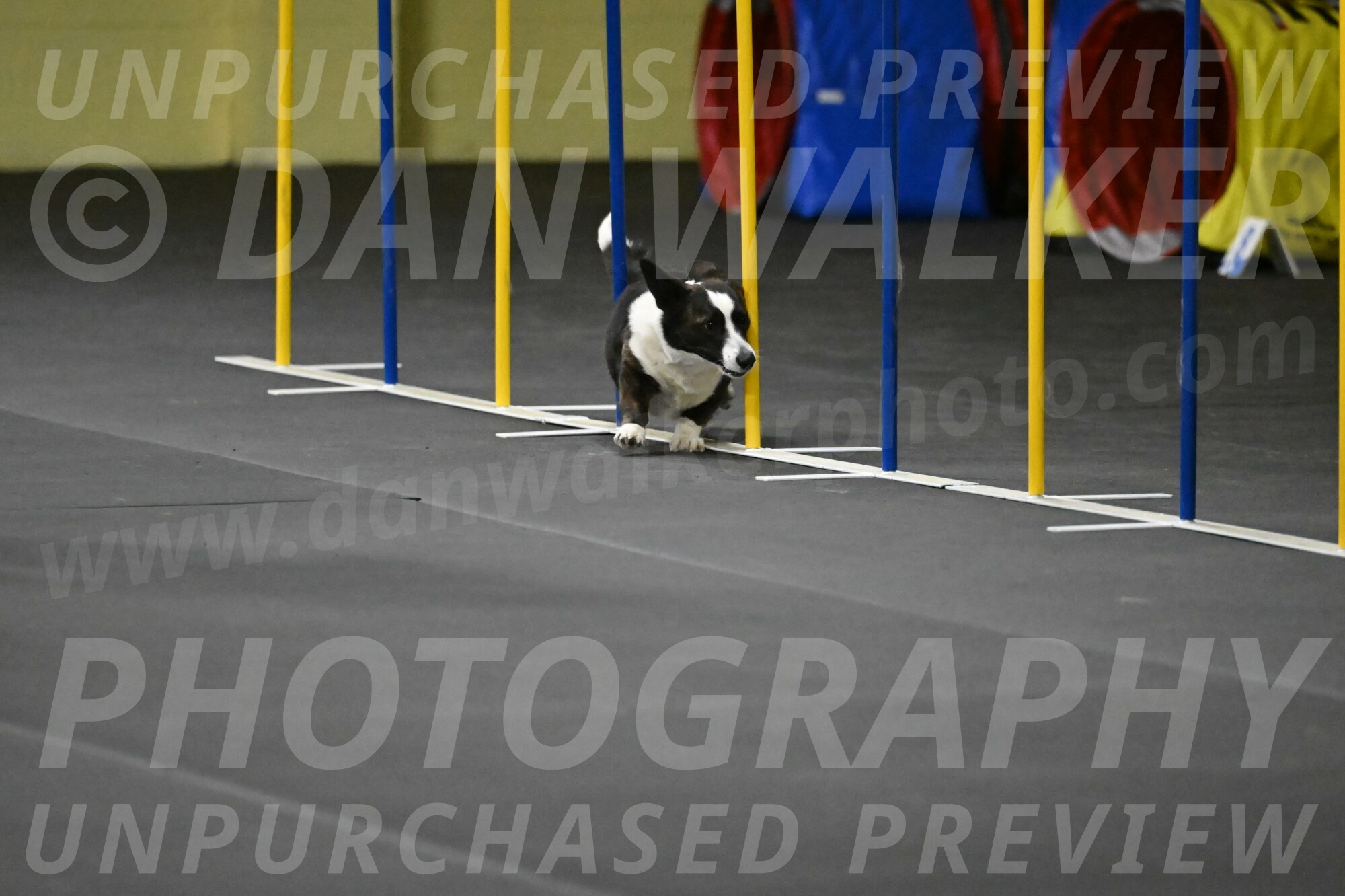 Audacity-Santin-15630